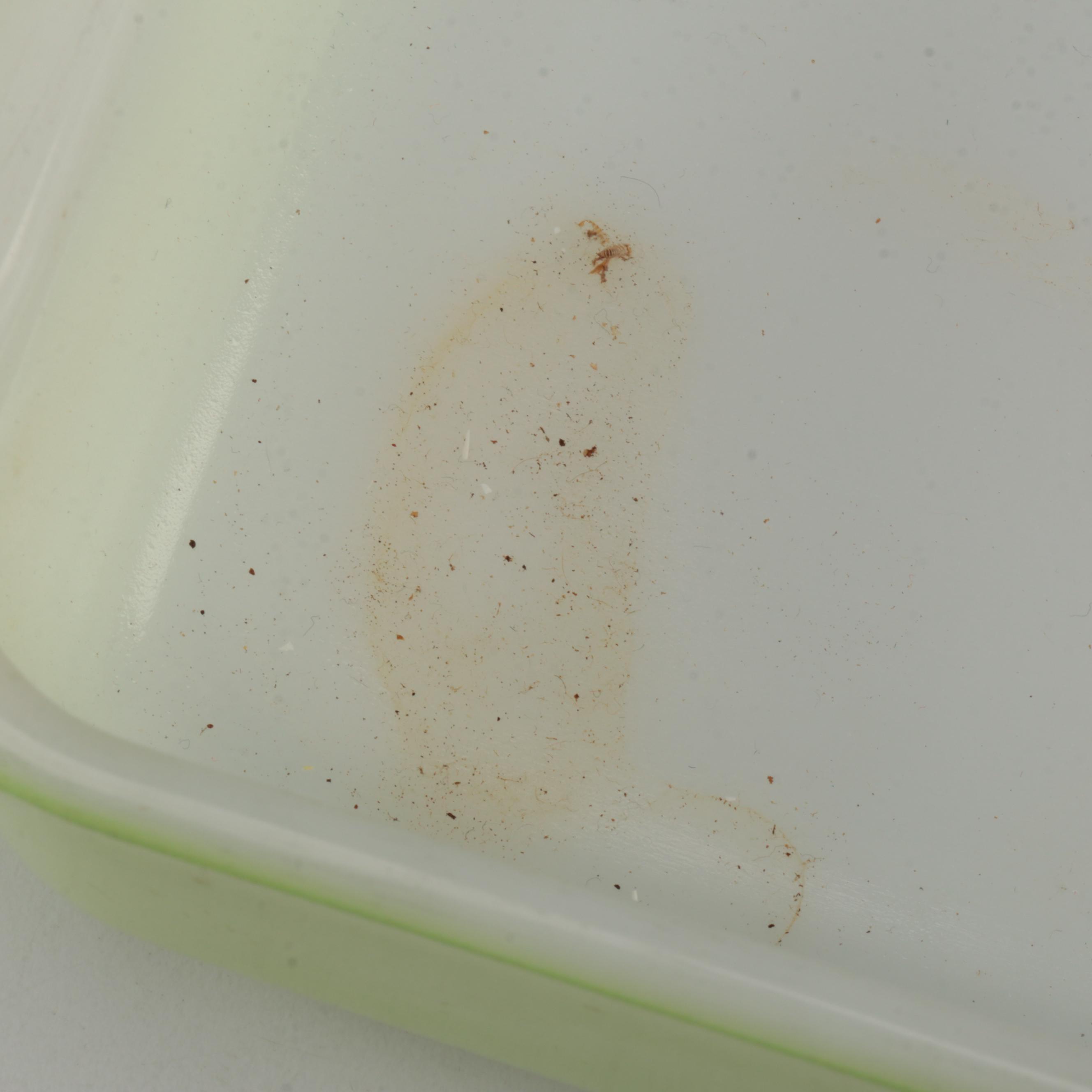 Pyrex Verde Square Flowers 474 and Other Dishware, 1970s-Present