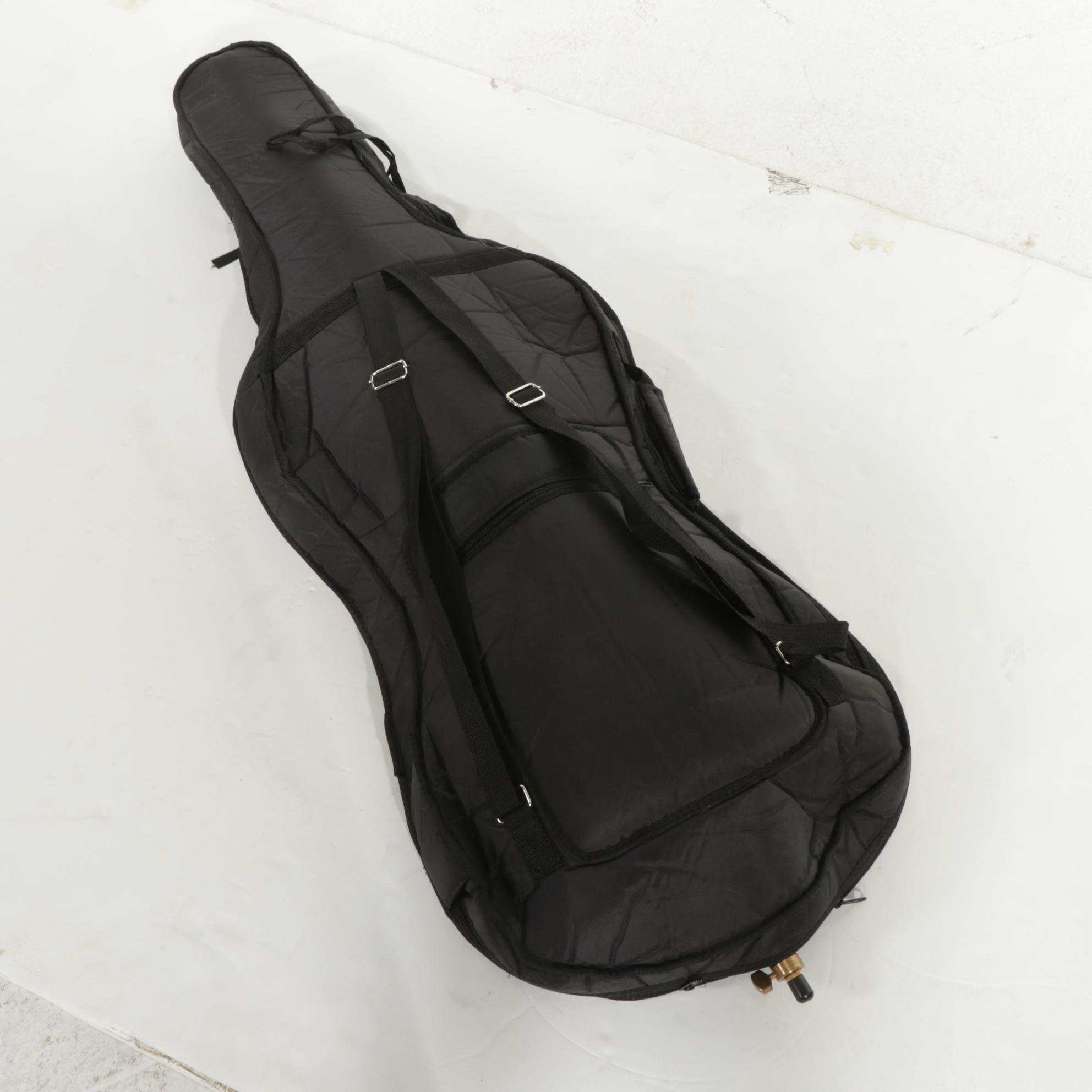 Cecilio Electric Cello With Nylon Case and Fender Amp