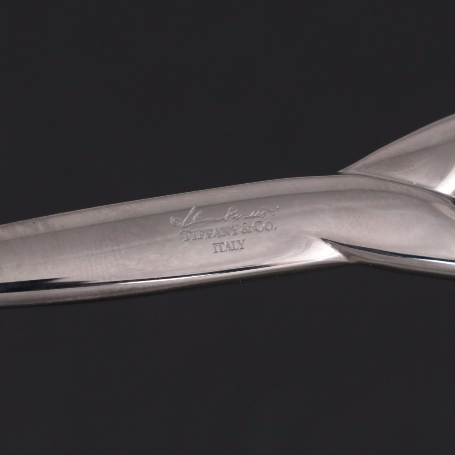 Elsa Peretti for Tiffany & Co. Ruthenium Letter Opener