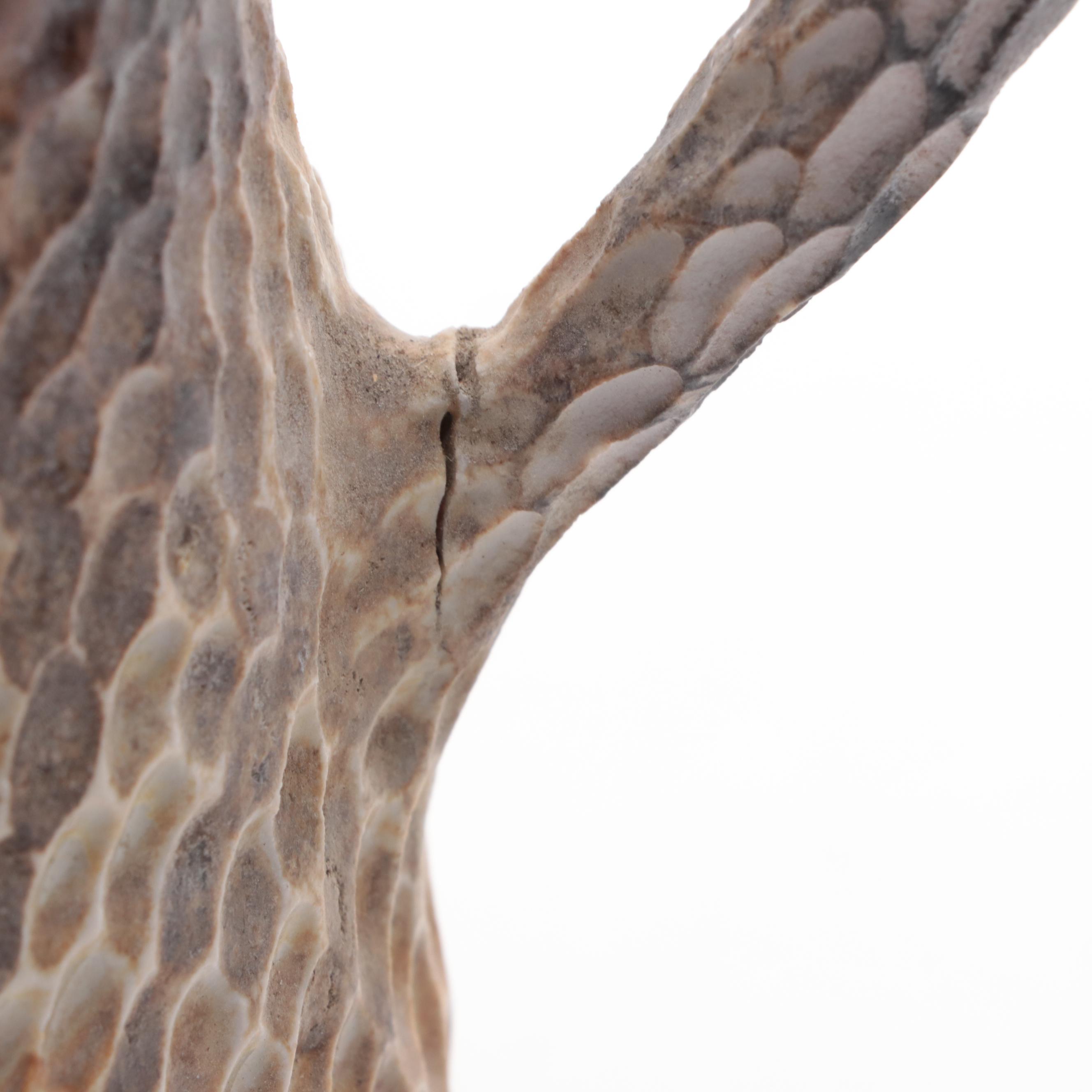 Snake Skin Pattern Ceramic Pitcher with Double Handle Ceramic Lidded Jar