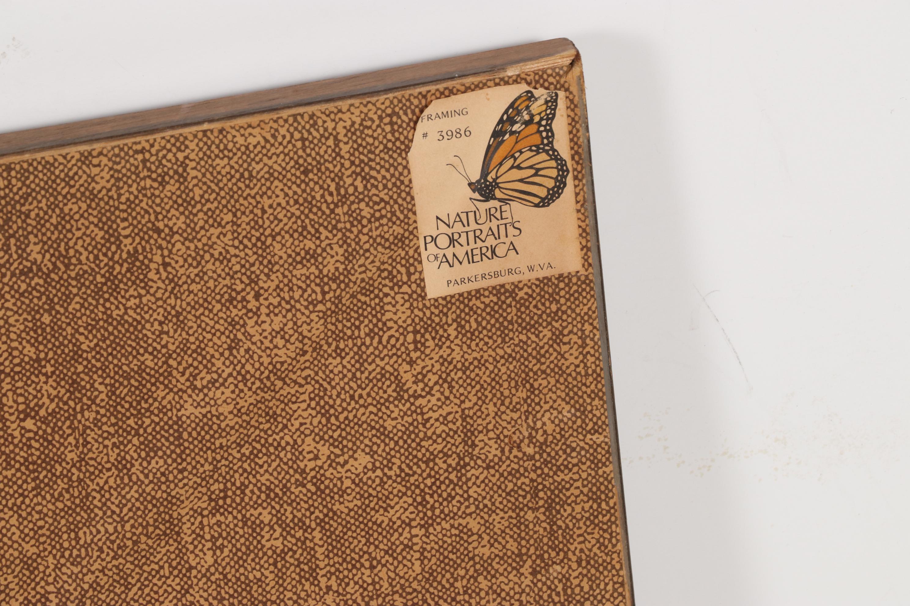 Don Whitlach Offset Lithograph "Morning Mist," 1985