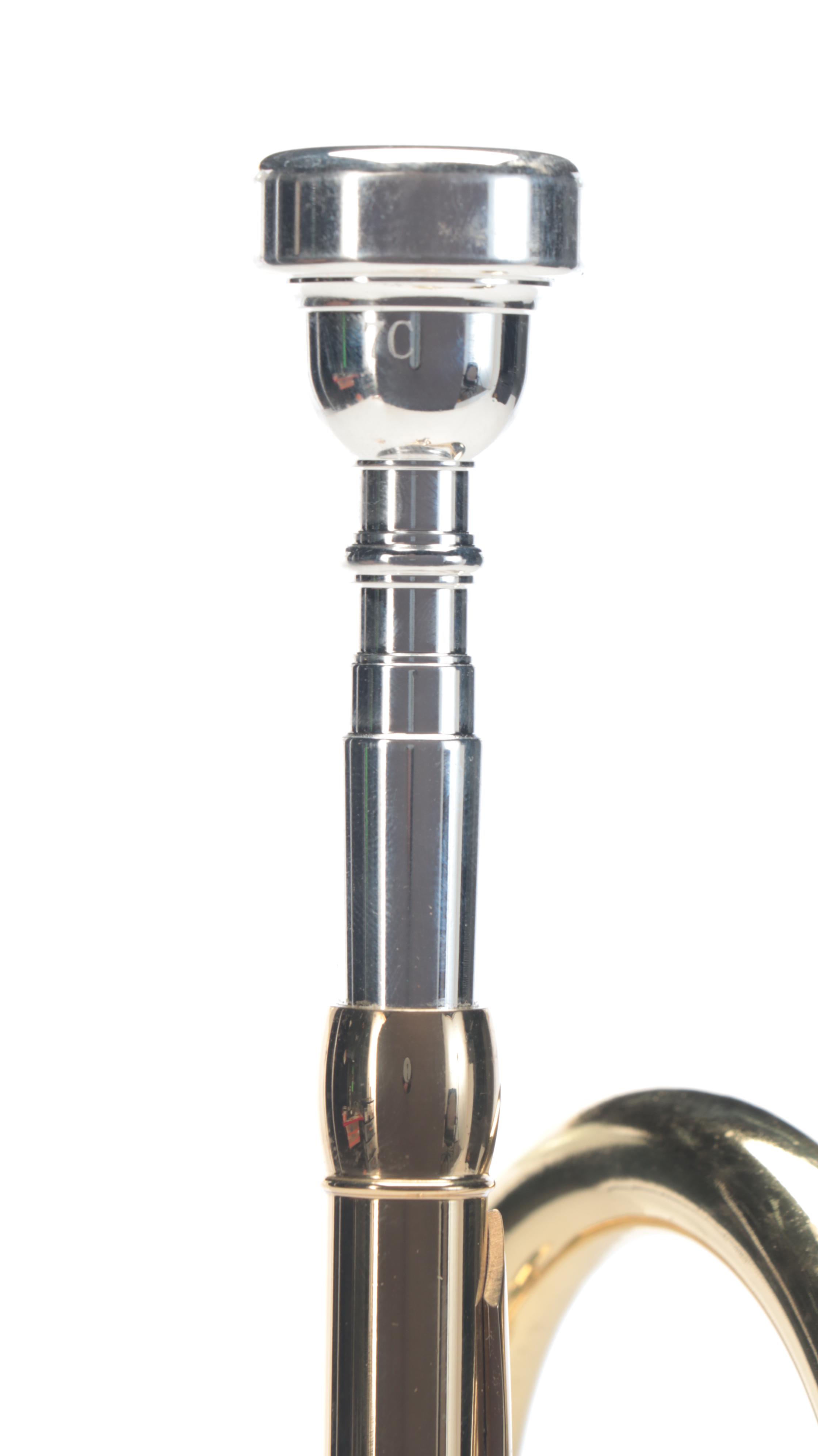 Eastrock Brass Trumpet and Fabric Carrying Case