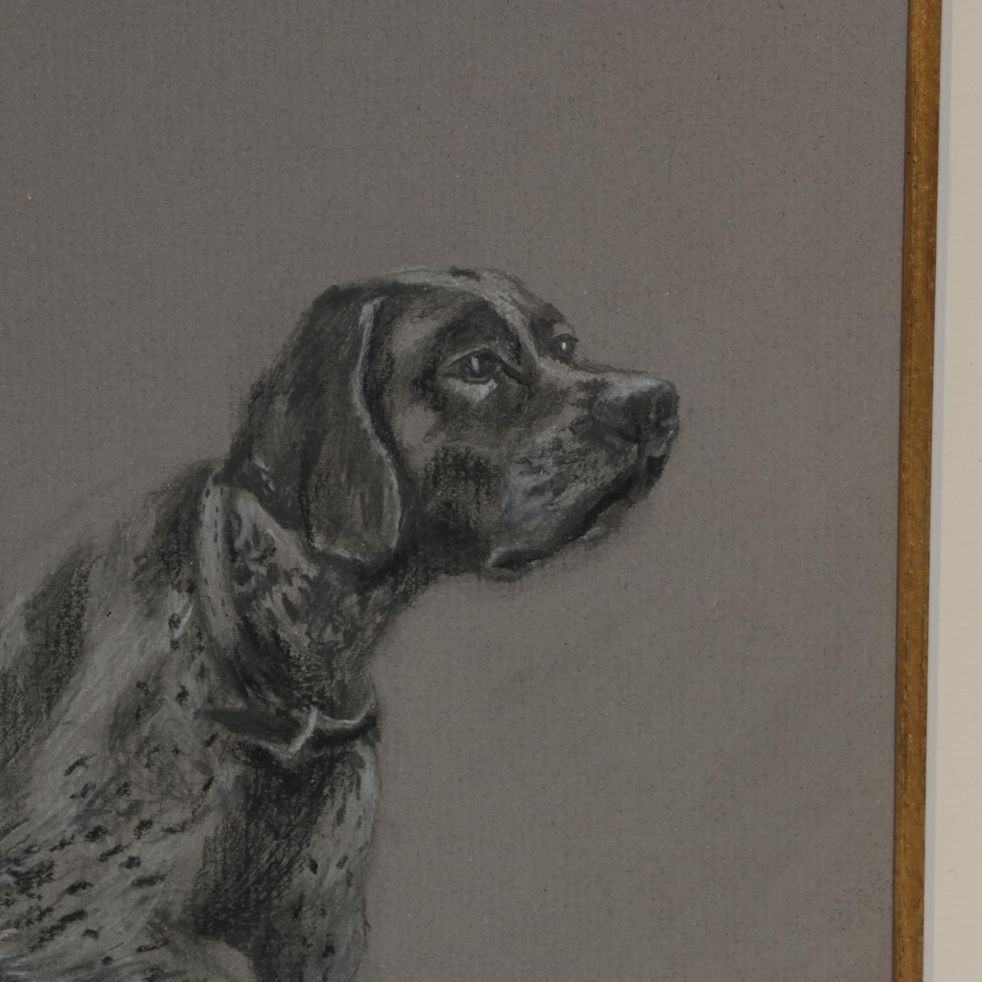 Mixed Media Drawing of Hunting Dog
