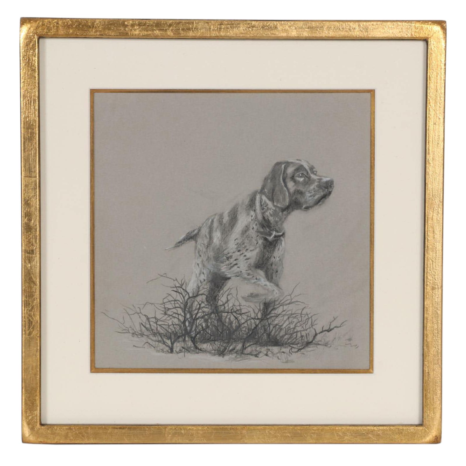 Mixed Media Drawing of Hunting Dog
