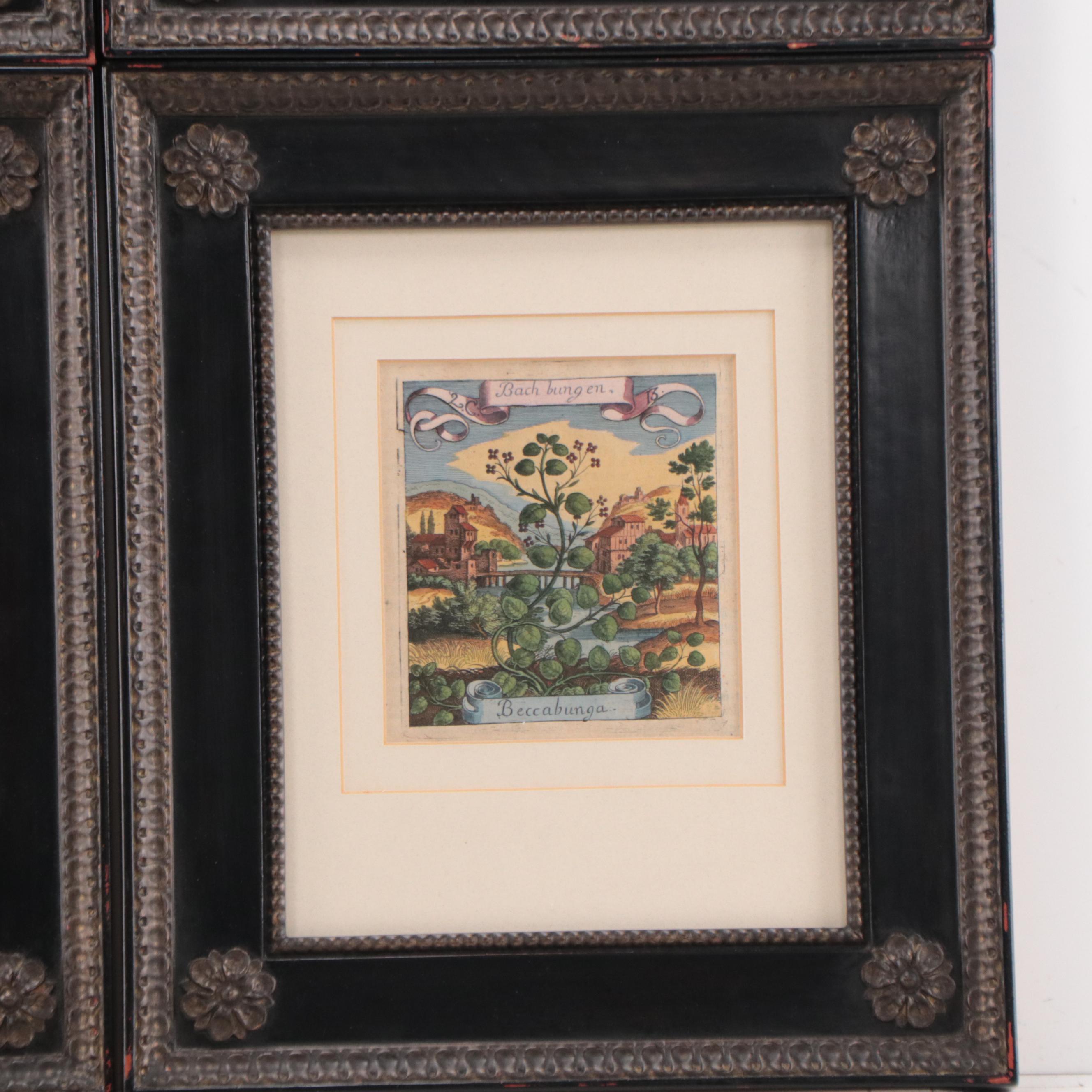 Matthäus Merian the Elder Hand-Colored Botanical Engravings, Early 18th Century