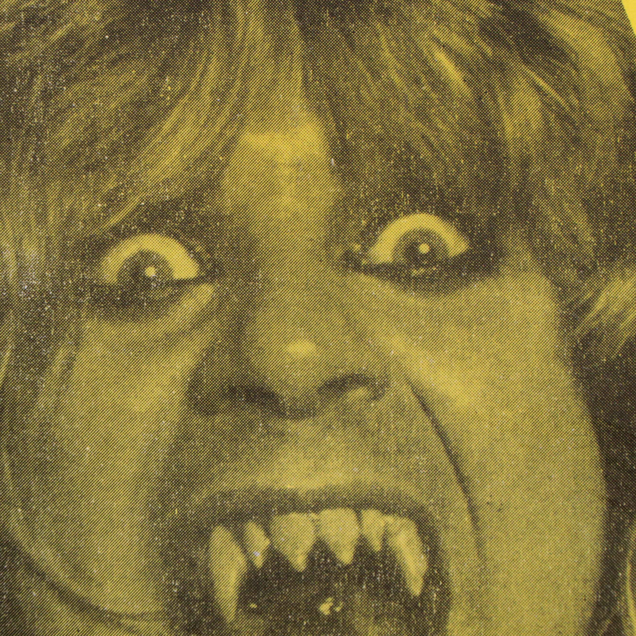 Ozzy Osbourne Concert Poster, 1982