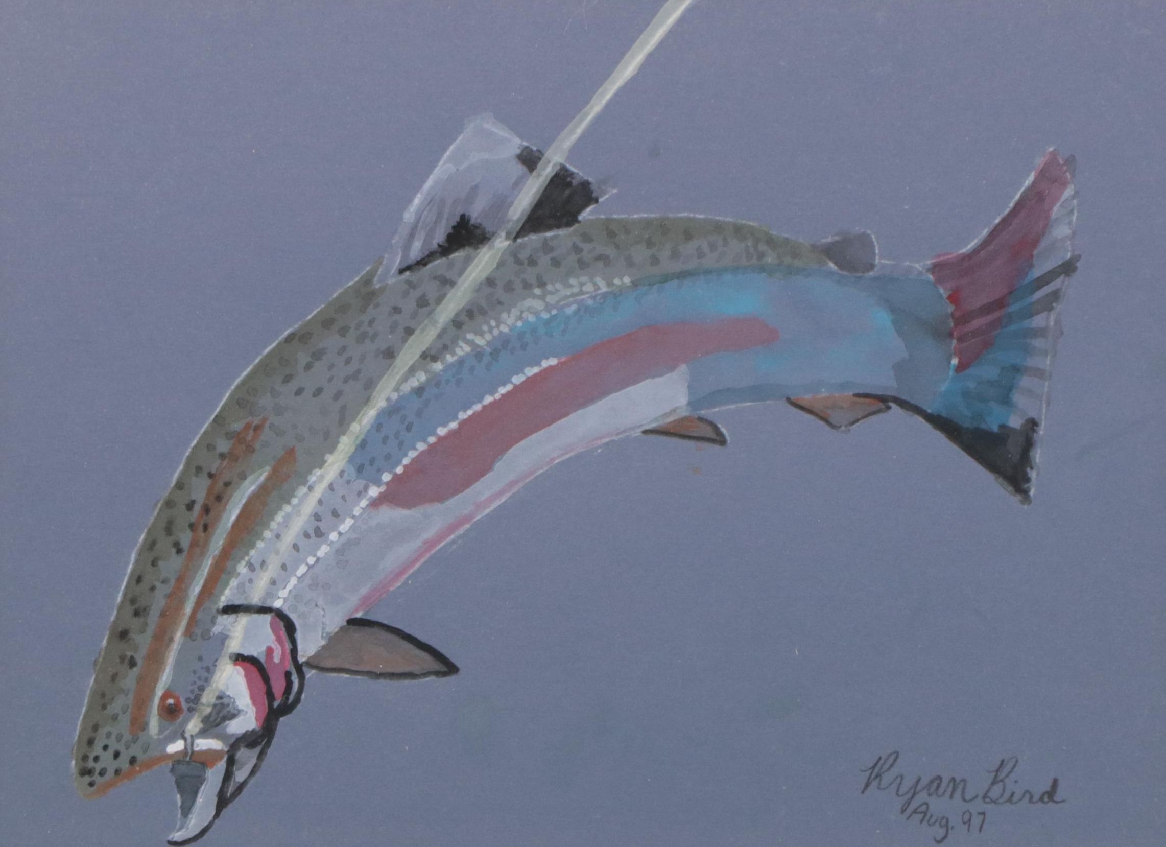 Ryan Bird  Gouache Painting of a Rainbow Trout, 1997