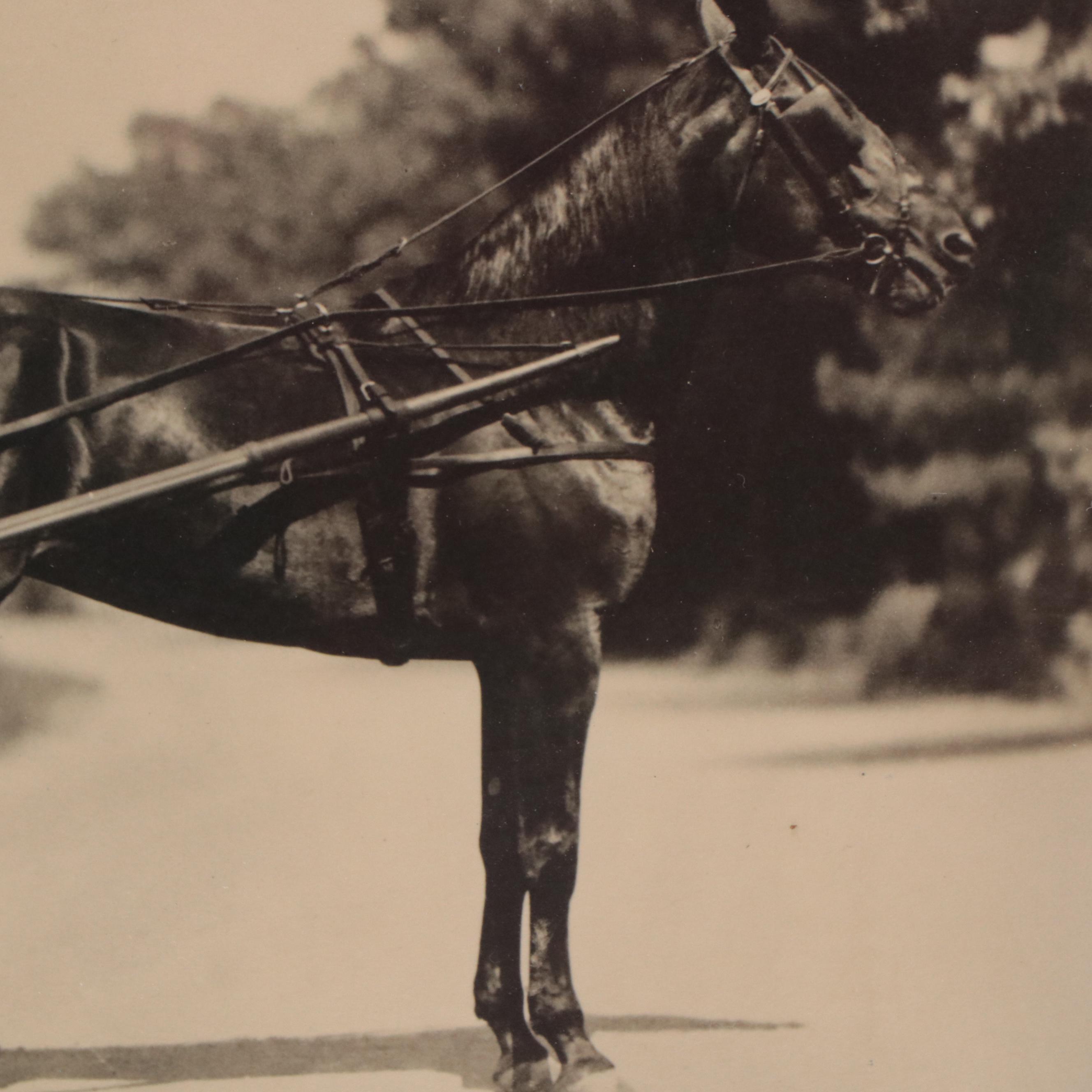 Silver Gelatin Photographs "After the Cruise" and Portrait of Frank S Wheeler