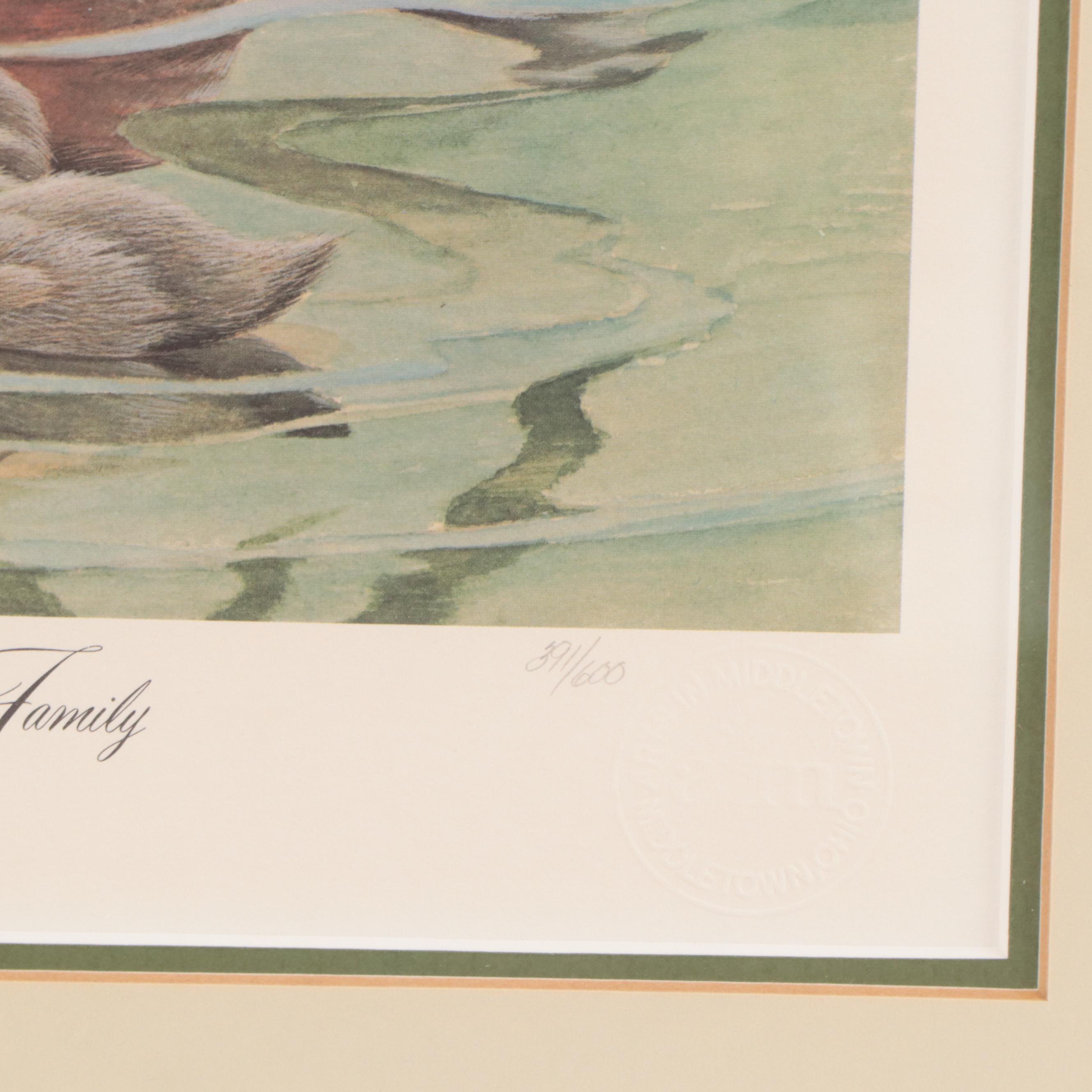 John A. Ruthven Offset Lithograph "Ruddy Duck Family"