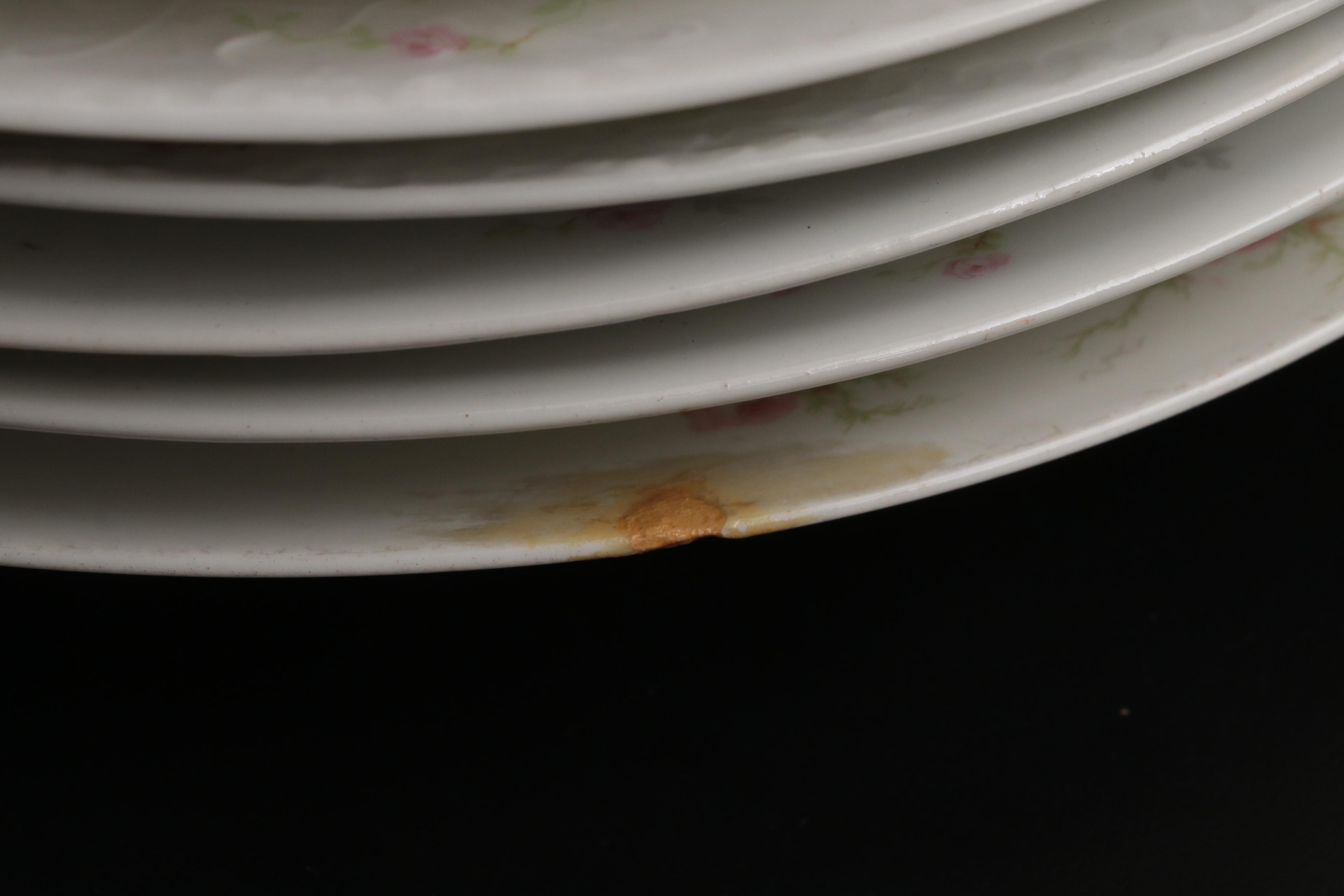 Haviland Limoges "Pink Spray" and Other Porcelain Tea Set and Dinnerware