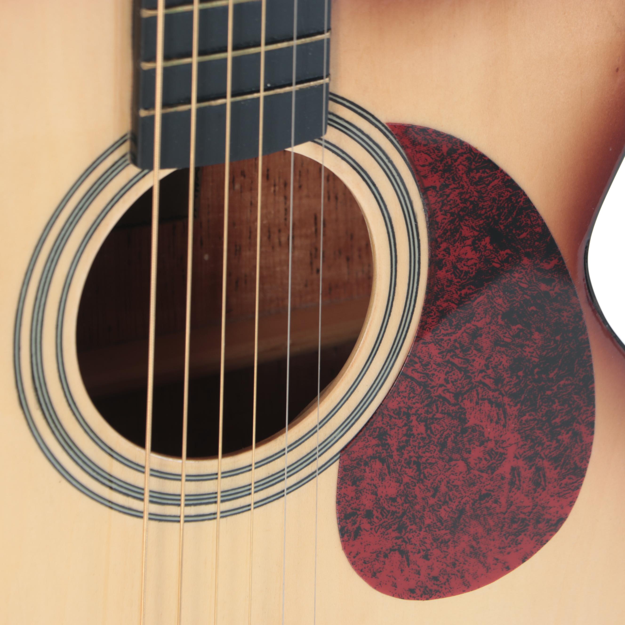 Alegre FG Narra Right-Handed Acoustic-Electric Guitar