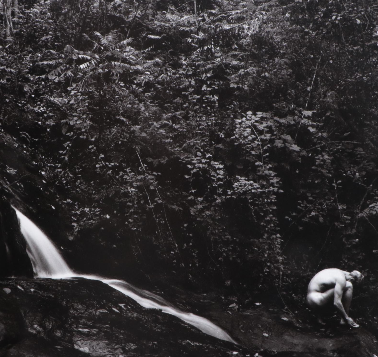 "George Platt Lynes, 1907–1955" by David Leddick and "Nudes" Photography Books