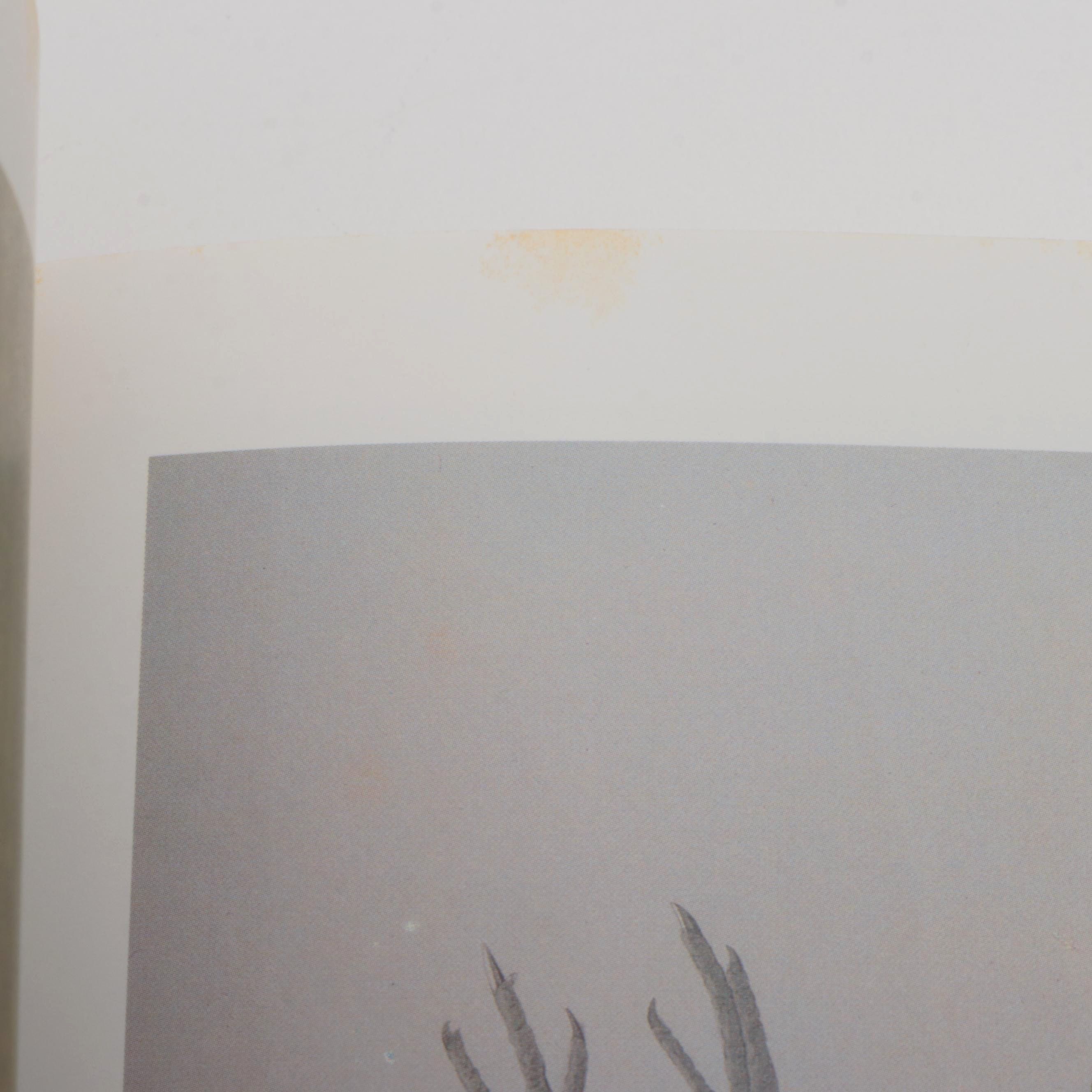 "Audubon's Birds of America" Baby Elephant Folio by the Petersons, 1985