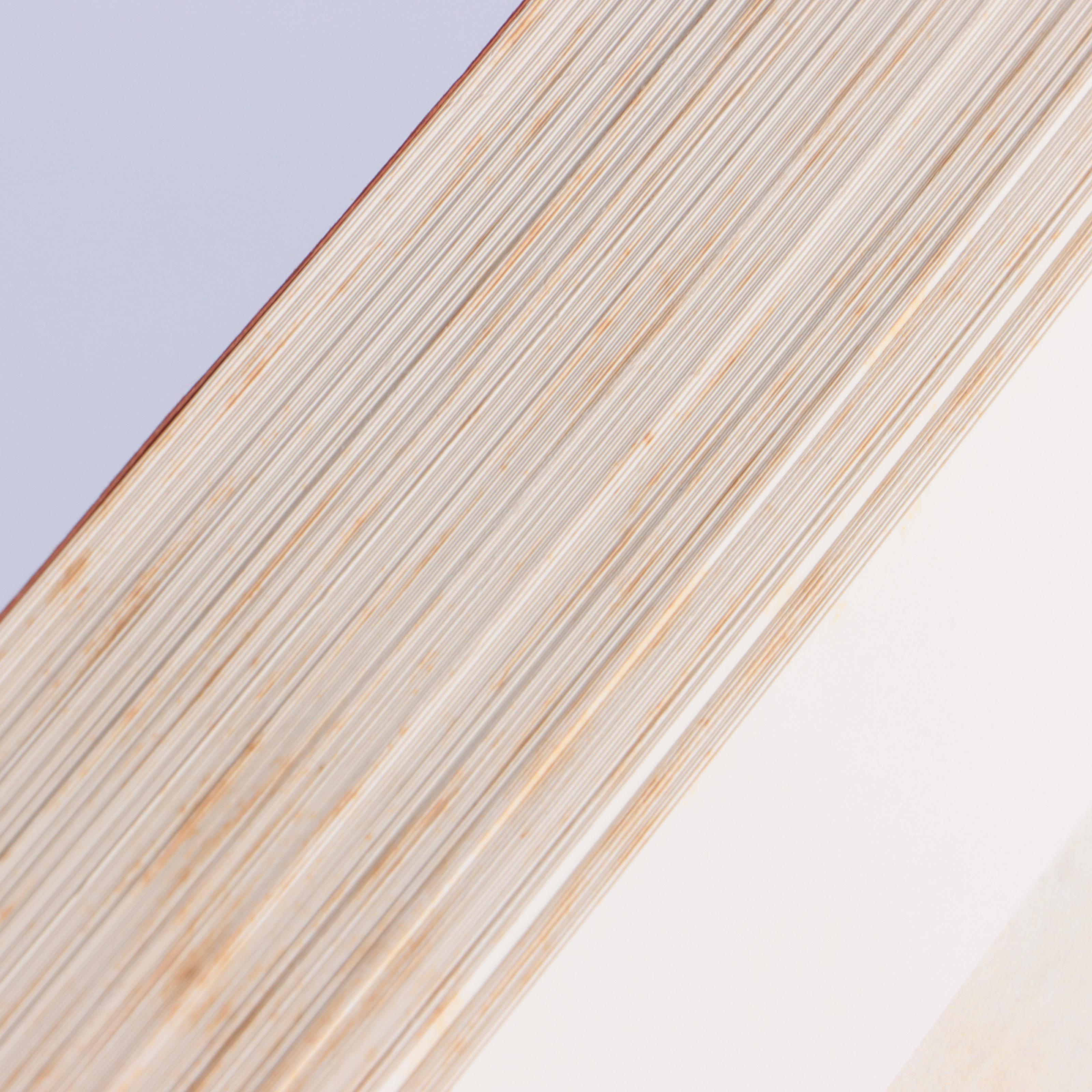 "Audubon's Birds of America" Baby Elephant Folio by the Petersons, 1985