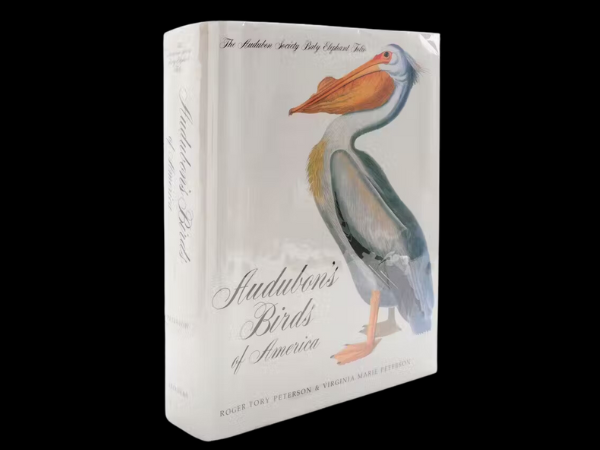 Natural Surroundings