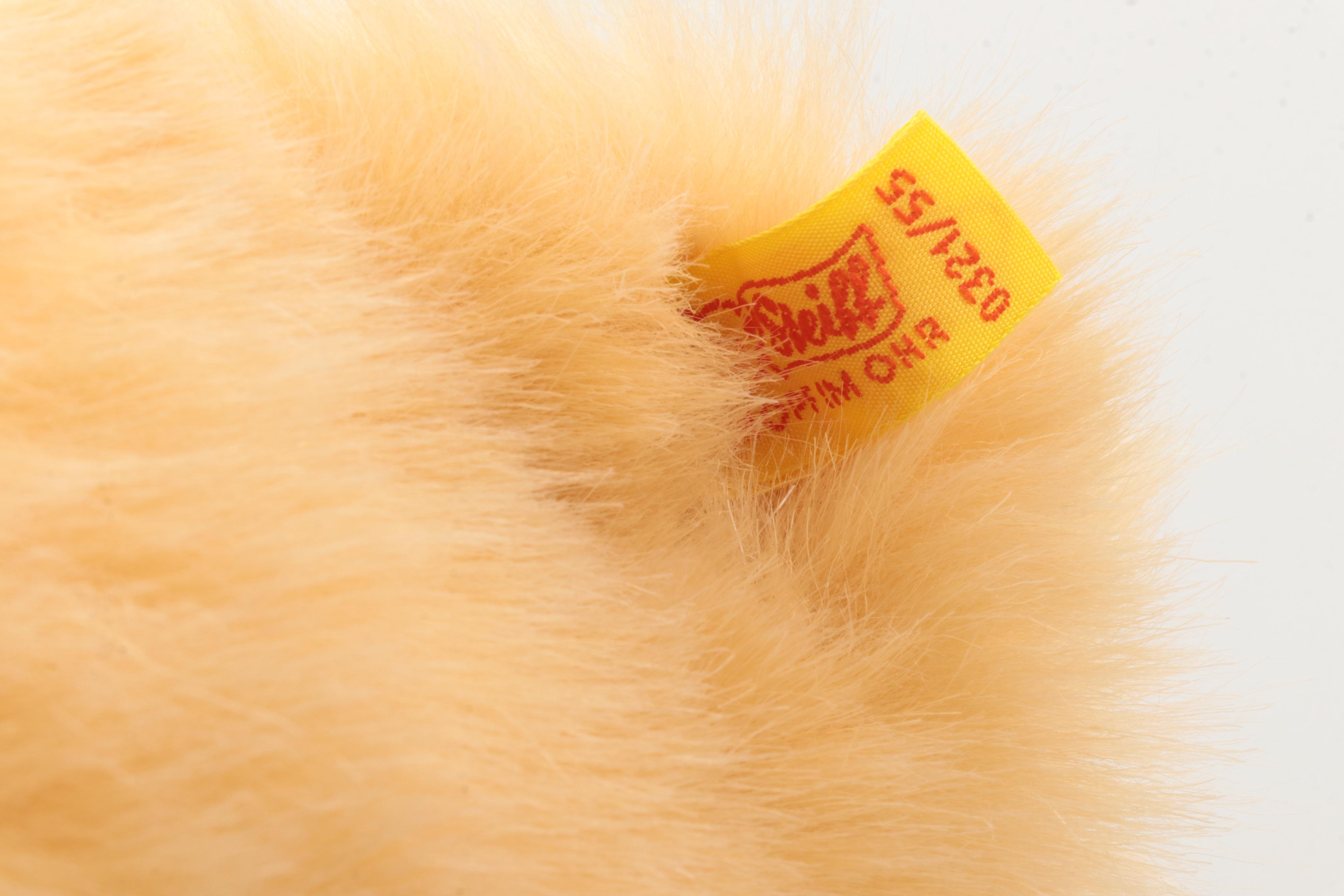 Steiff "Molly Teddy" and Italian Lenci Torino Teddy Bears