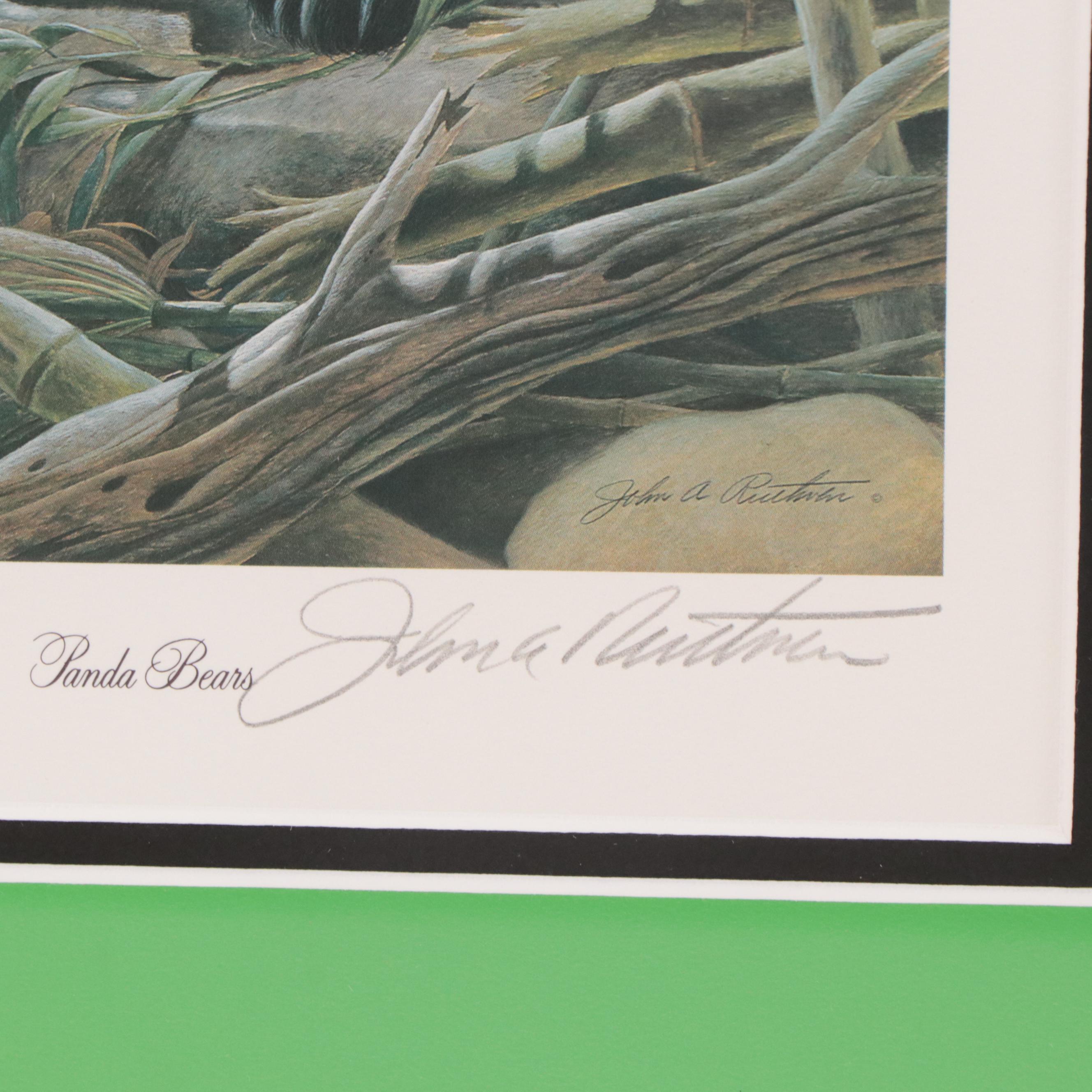 John A. Ruthven Offset Lithograph "Panda Bears"