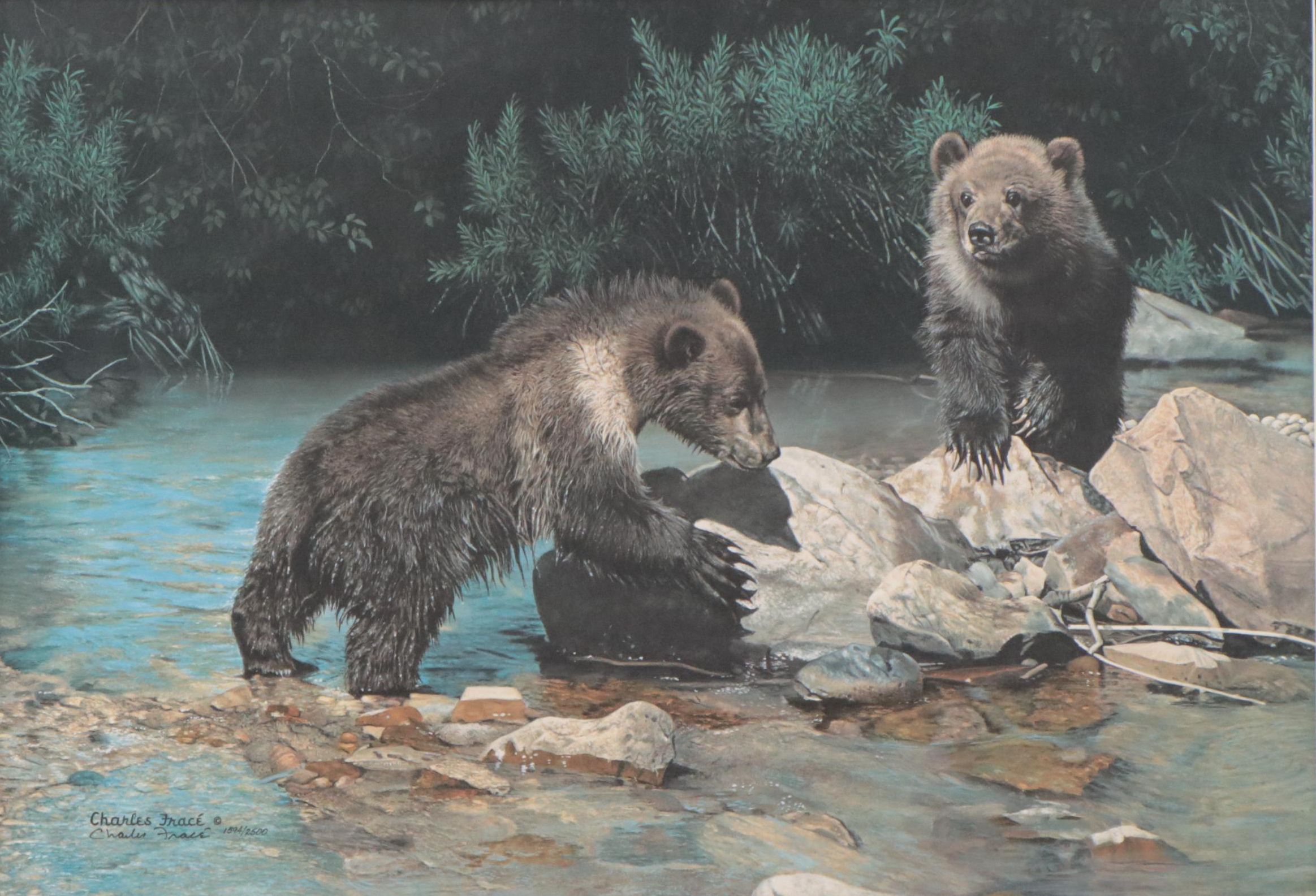 Charles Fracé Offset Lithograph of Bear Cubs