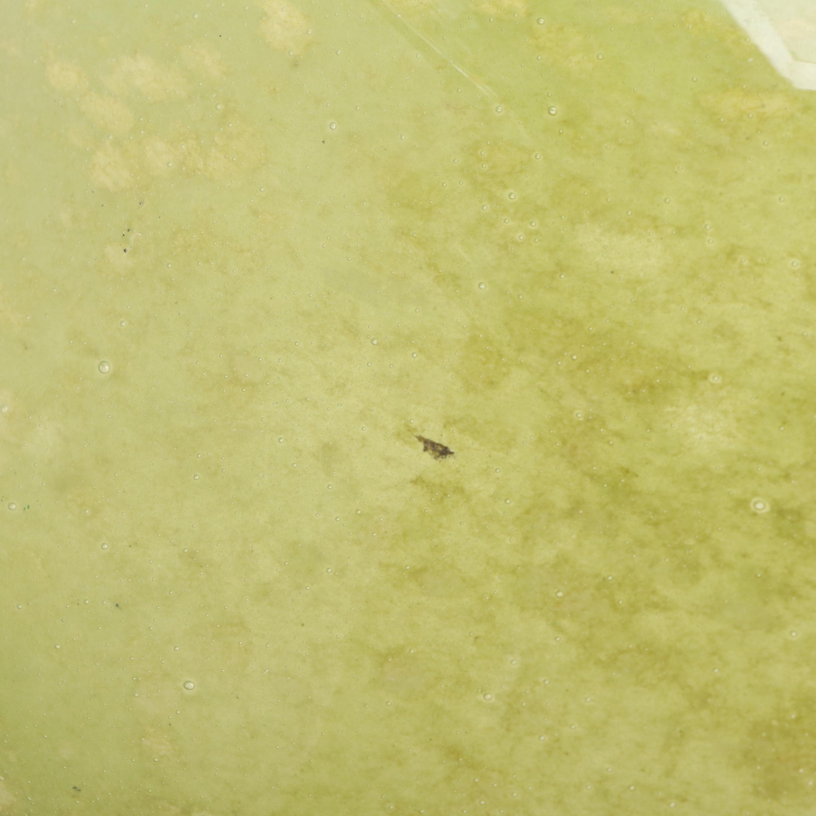 Hand Blown Glass Decorative Bowl with Composite Apples