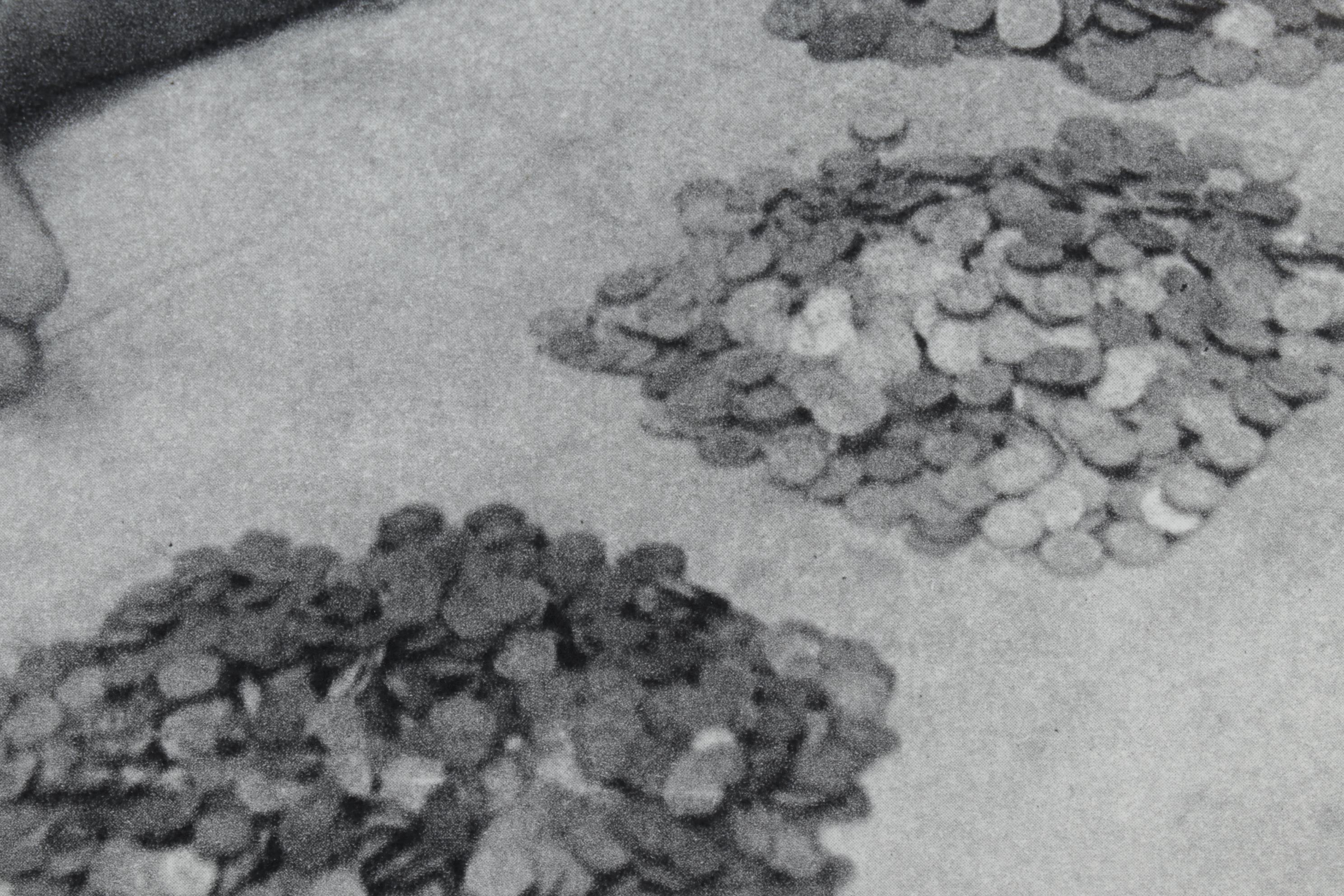 Henri Cartier-Bresson Photogravure From "The Decisive Moment," 1952