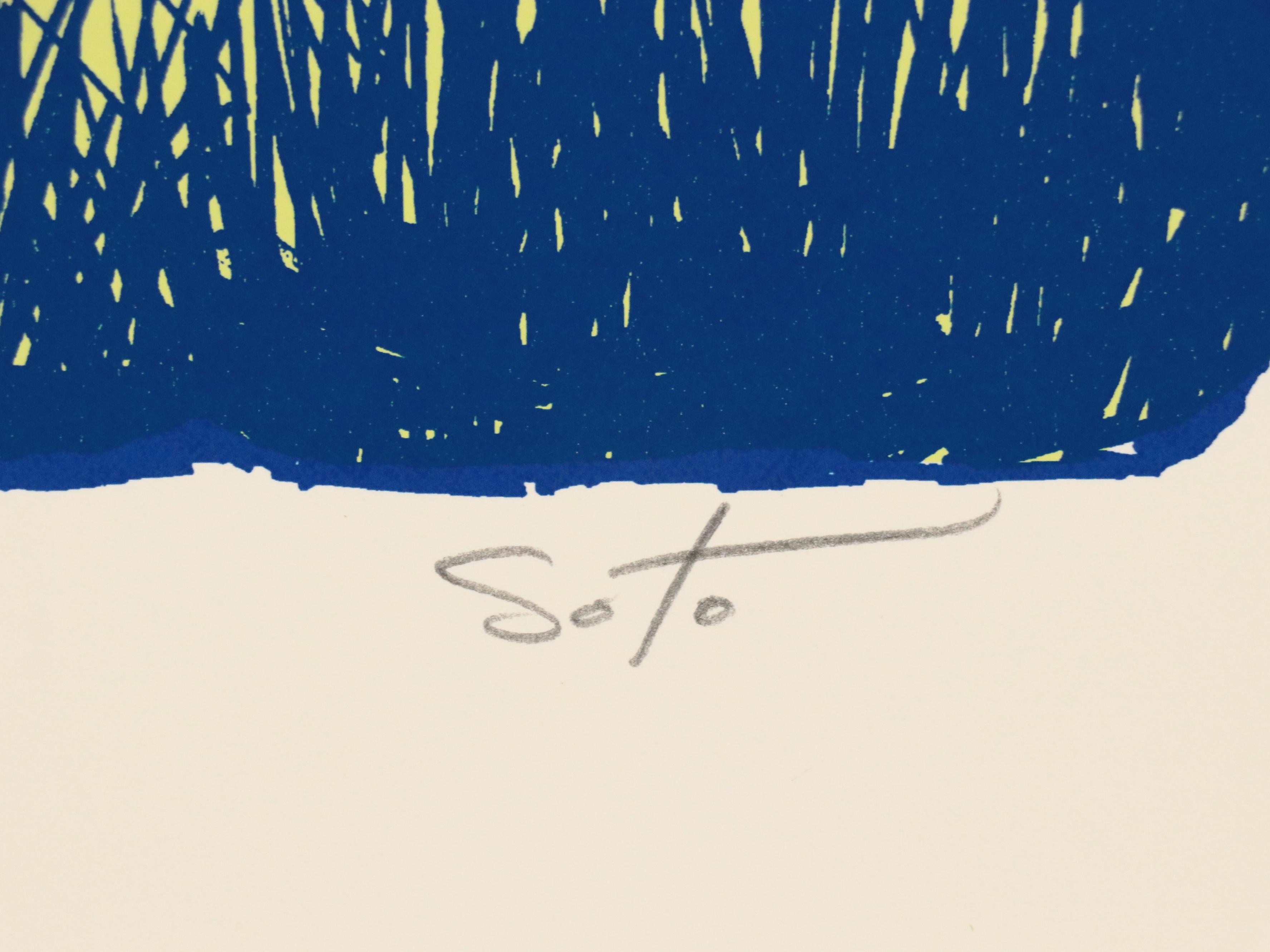 Jeff Soto Serigraph "Turtle Love" Numbered 104/125