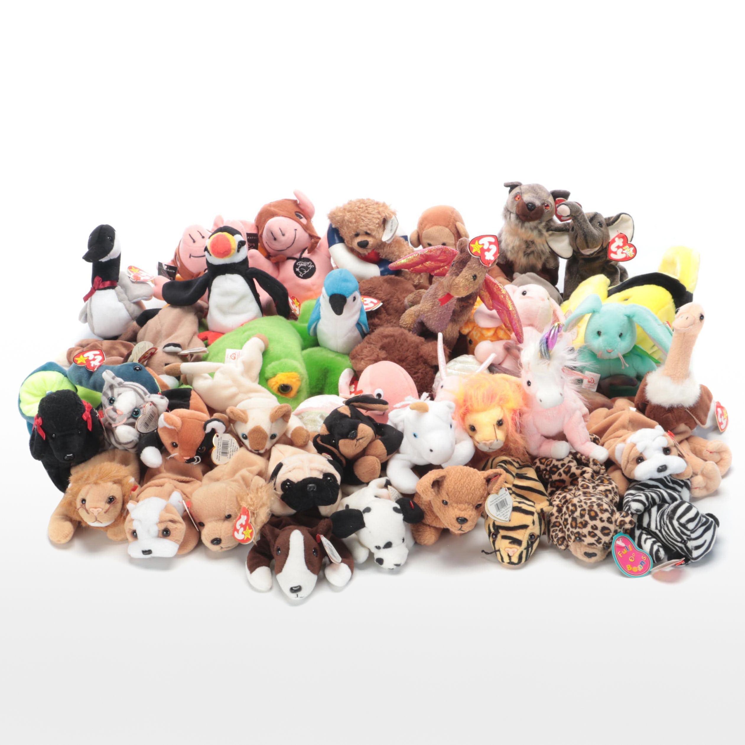 Ty Beanie Babies With "Loosy" and More | Everything But The House