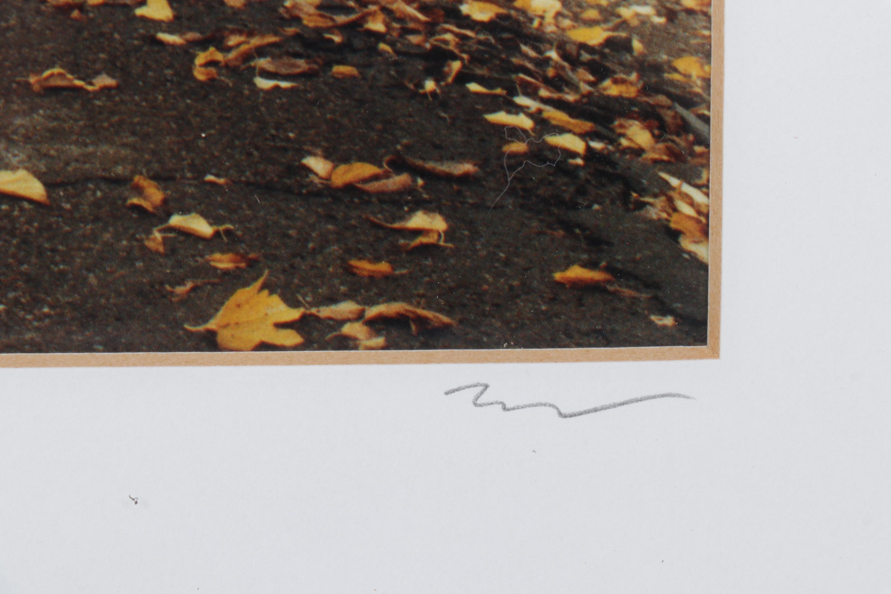 Autumn Landscape Digital Photograph "Napa Valley," 21st Century