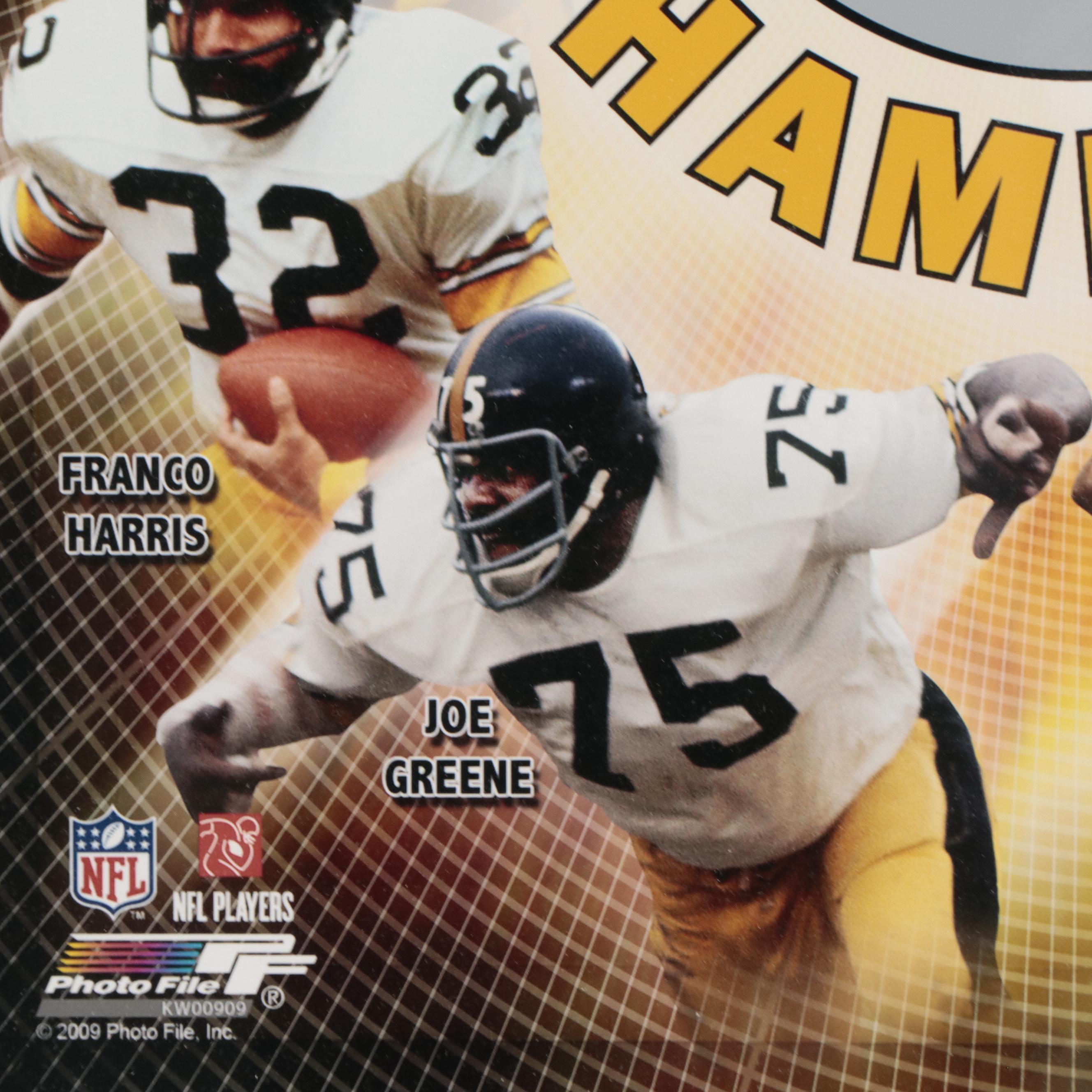Pittsburgh Steelers Football Display Featuring Terry Bradshaw and More