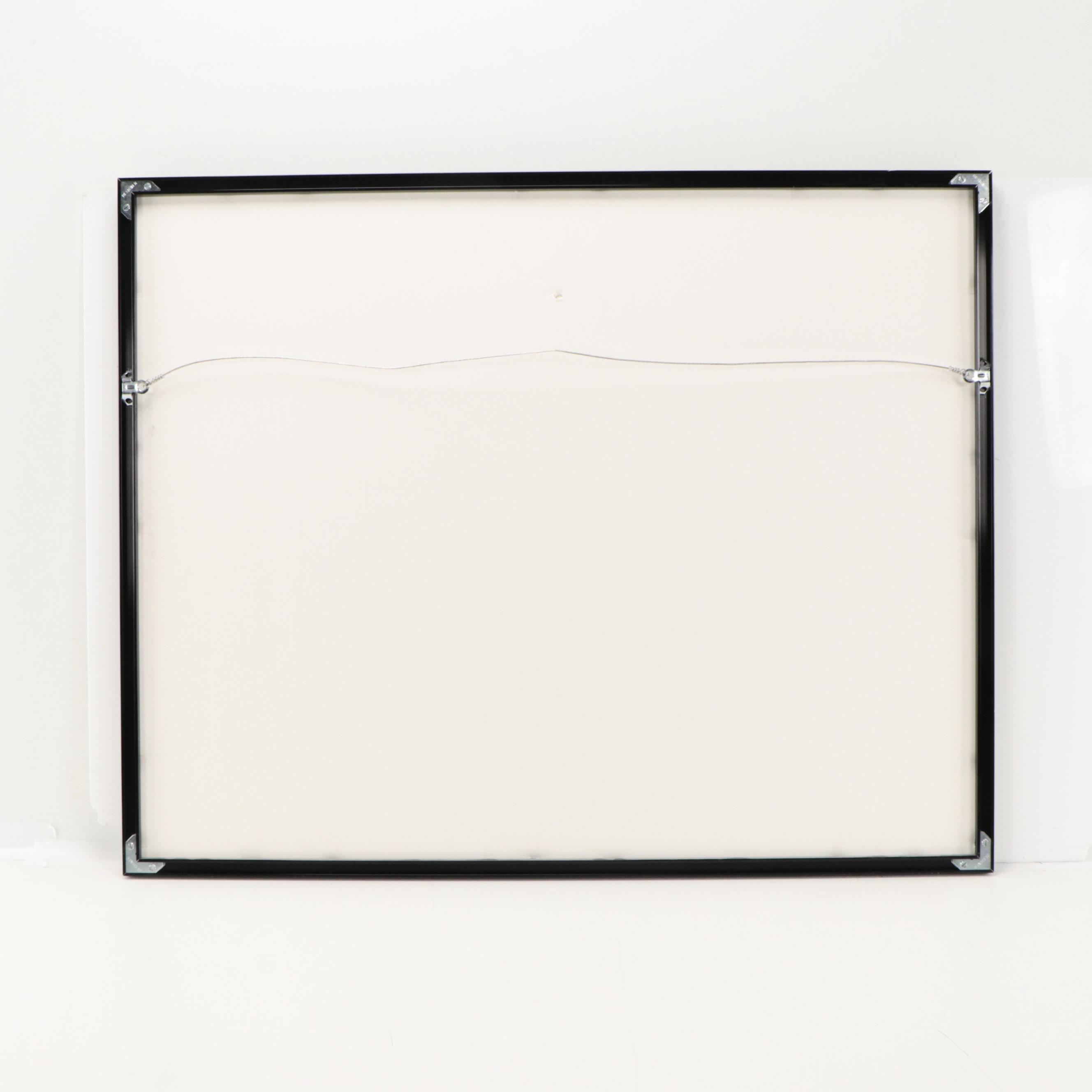 Pittsburgh Steelers Football Display Featuring Terry Bradshaw and More