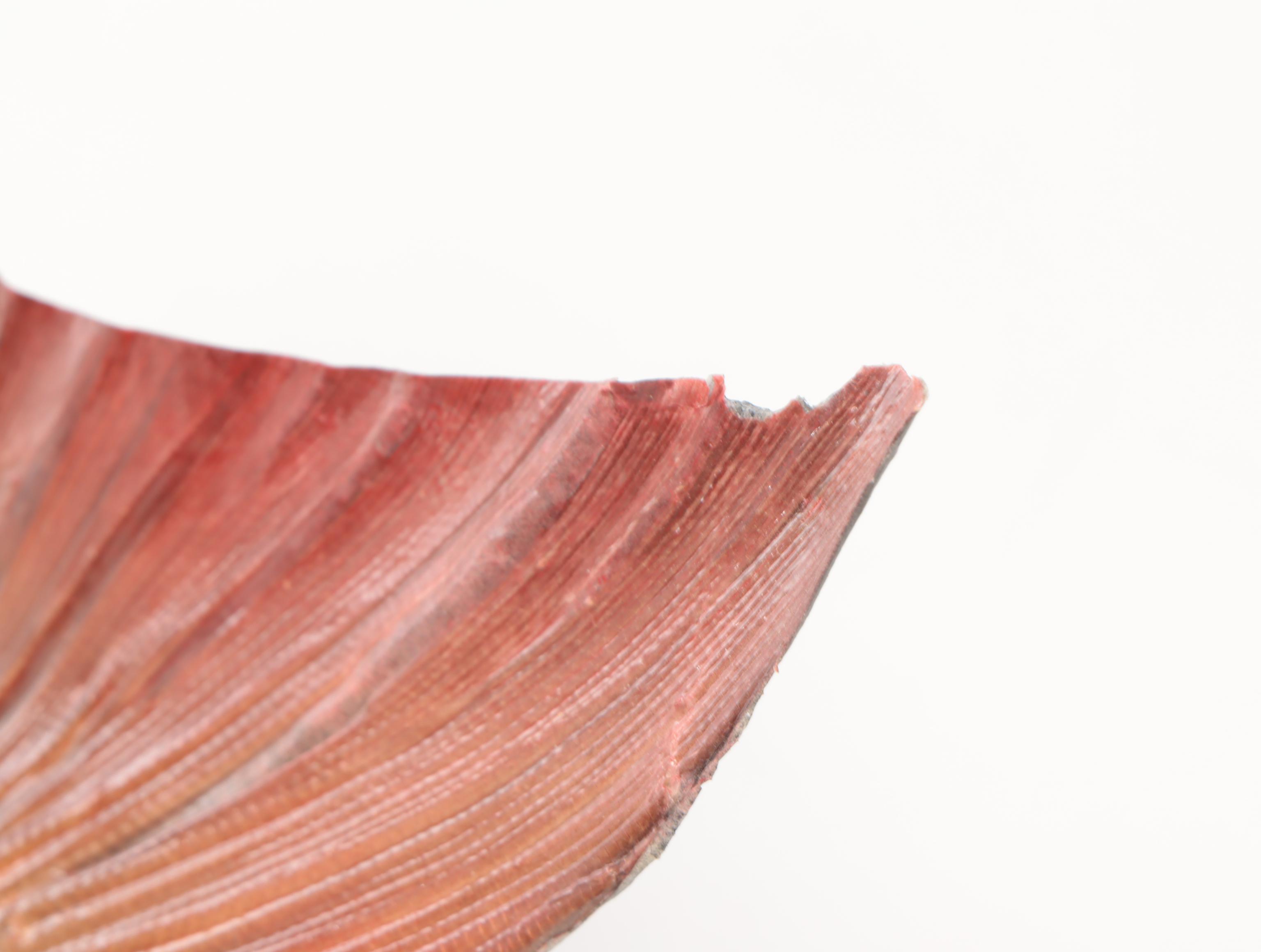 Taxidermy Musky Full Body Mount On Wood