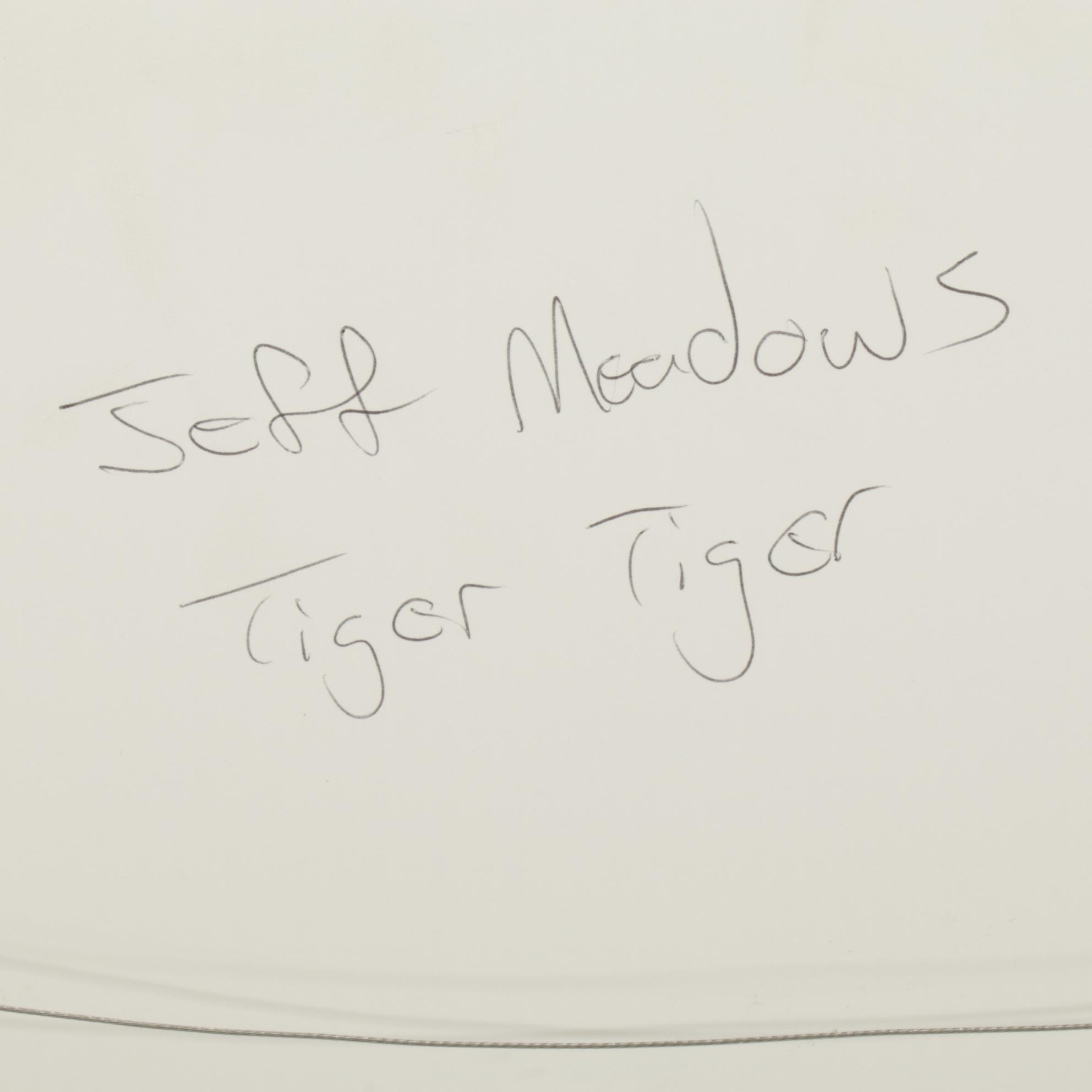 Jeff Meadows Outsider Art Mixed Media Painting "Tiger, Tiger," 2020