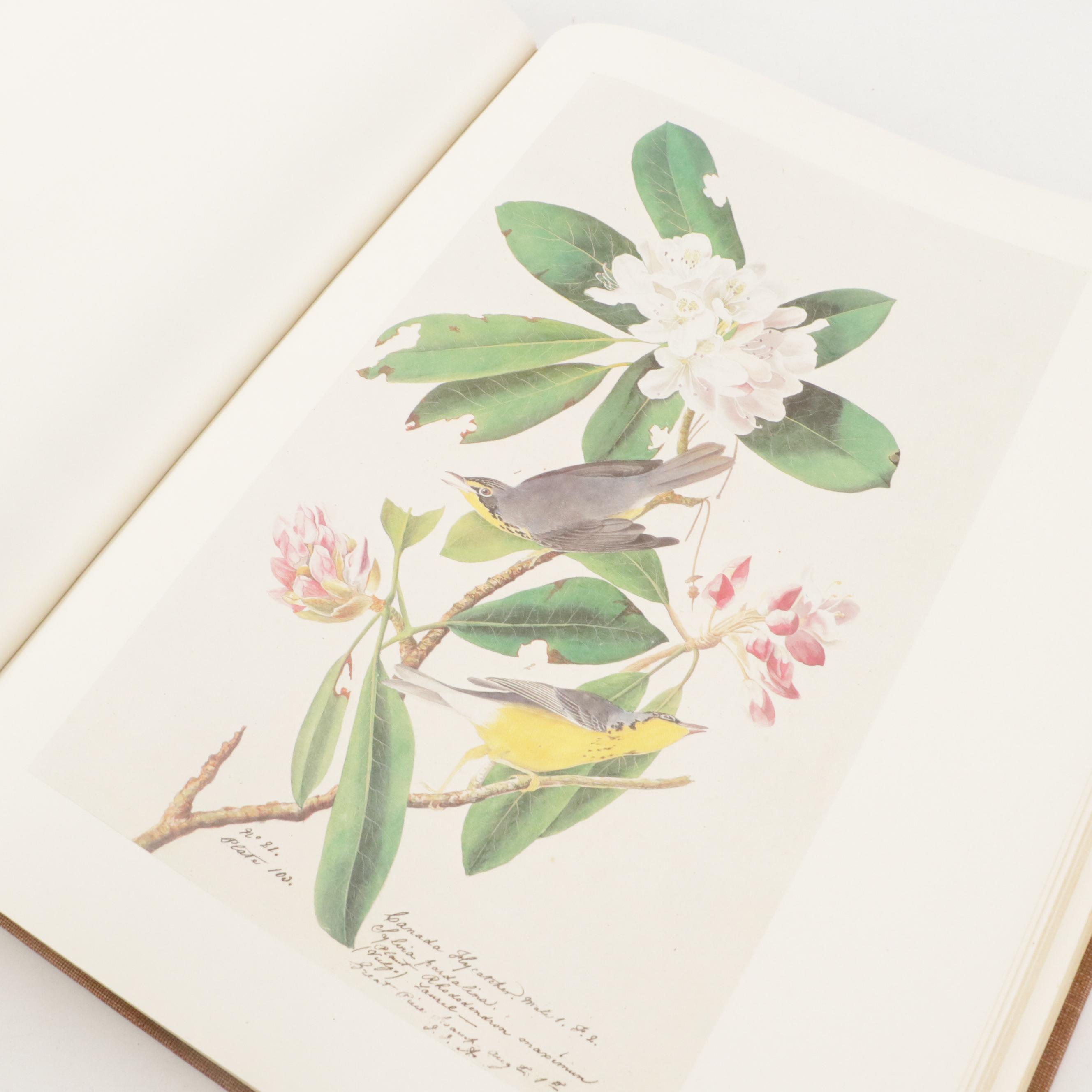 "The Original Water-Color Paintings for The Birds of America" by Audubon, 1966