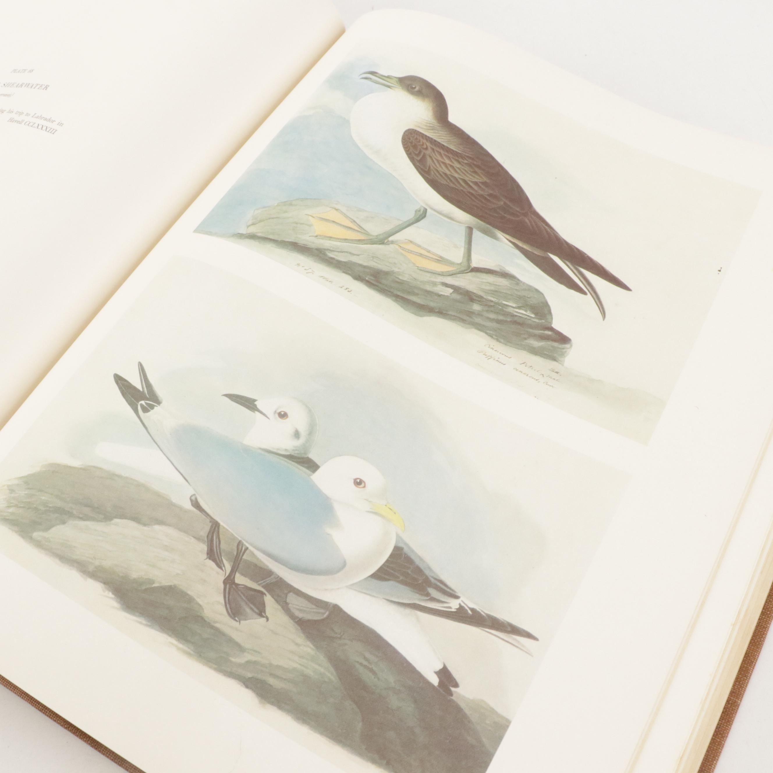 "The Original Water-Color Paintings for The Birds of America" by Audubon, 1966