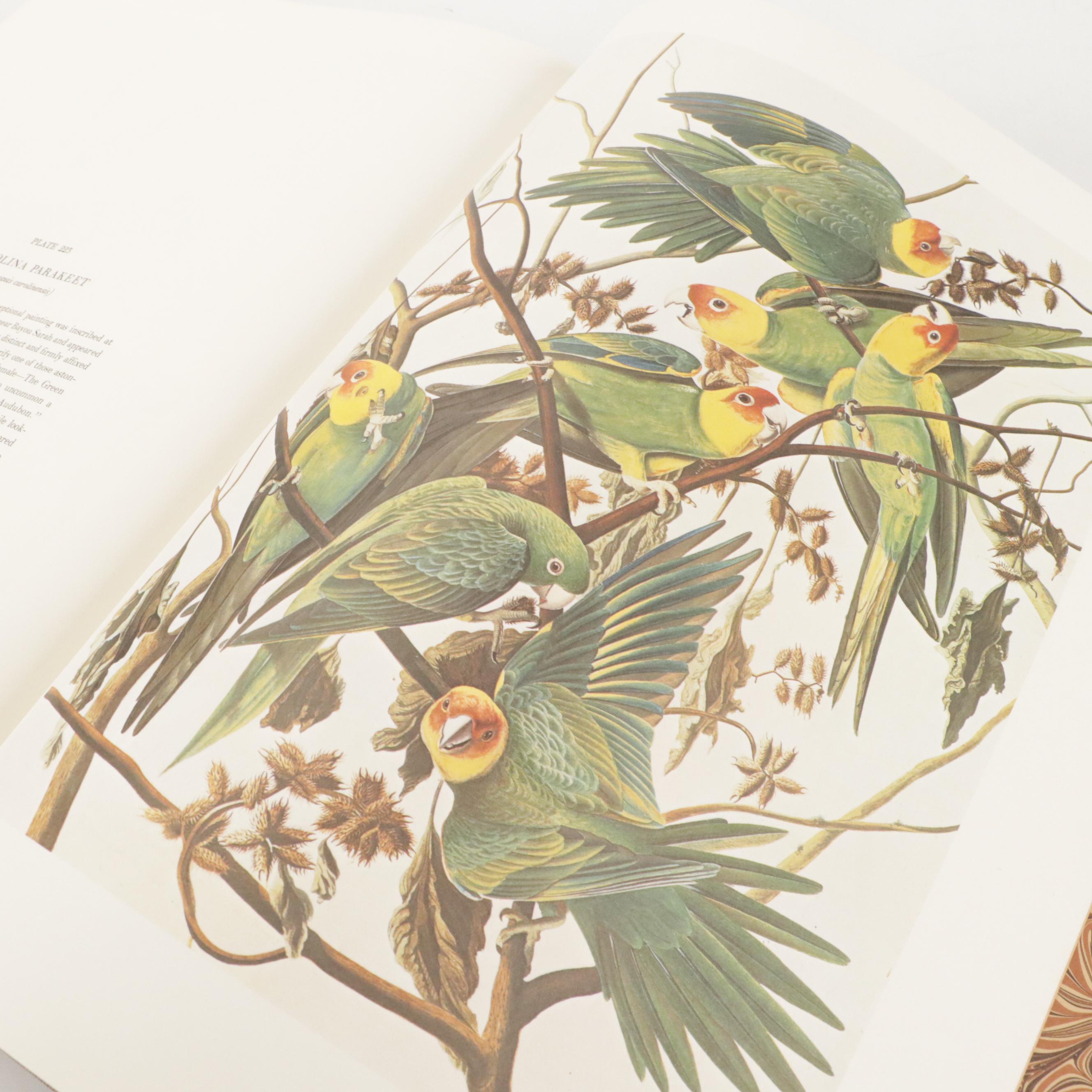 "The Original Water-Color Paintings for The Birds of America" by Audubon, 1966
