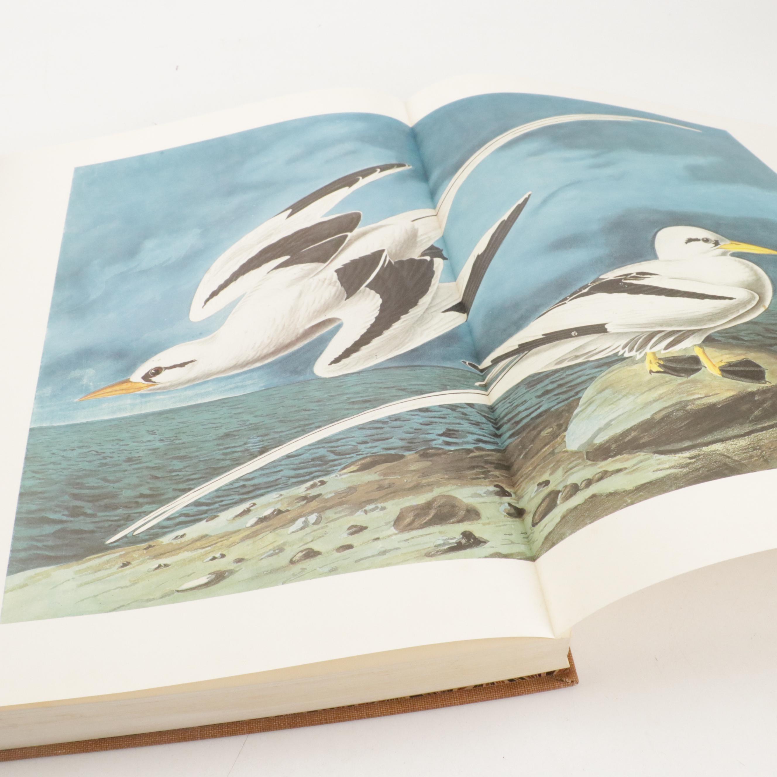 "The Original Water-Color Paintings for The Birds of America" by Audubon, 1966