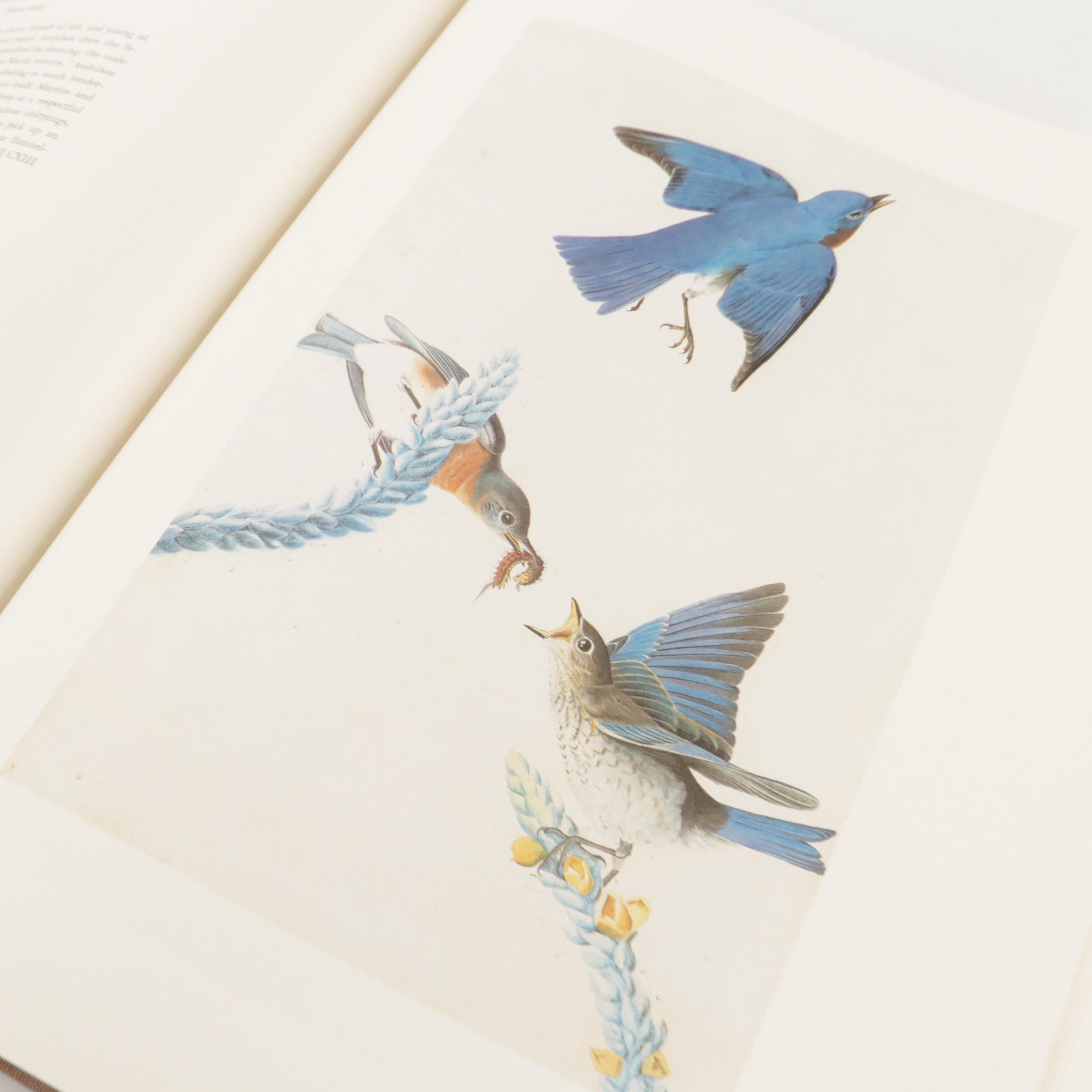 "The Original Water-Color Paintings for The Birds of America" by Audubon, 1966