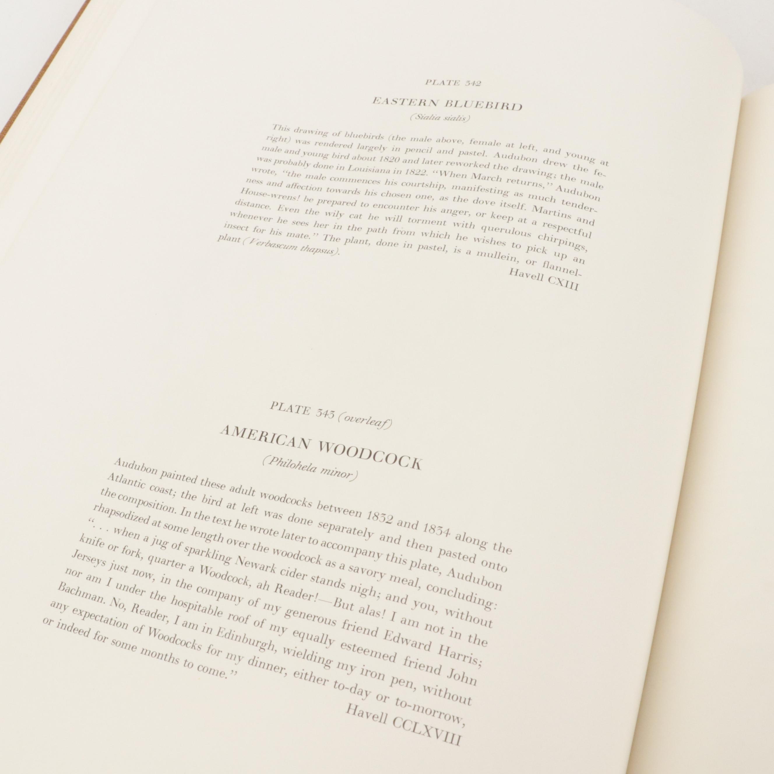 "The Original Water-Color Paintings for The Birds of America" by Audubon, 1966