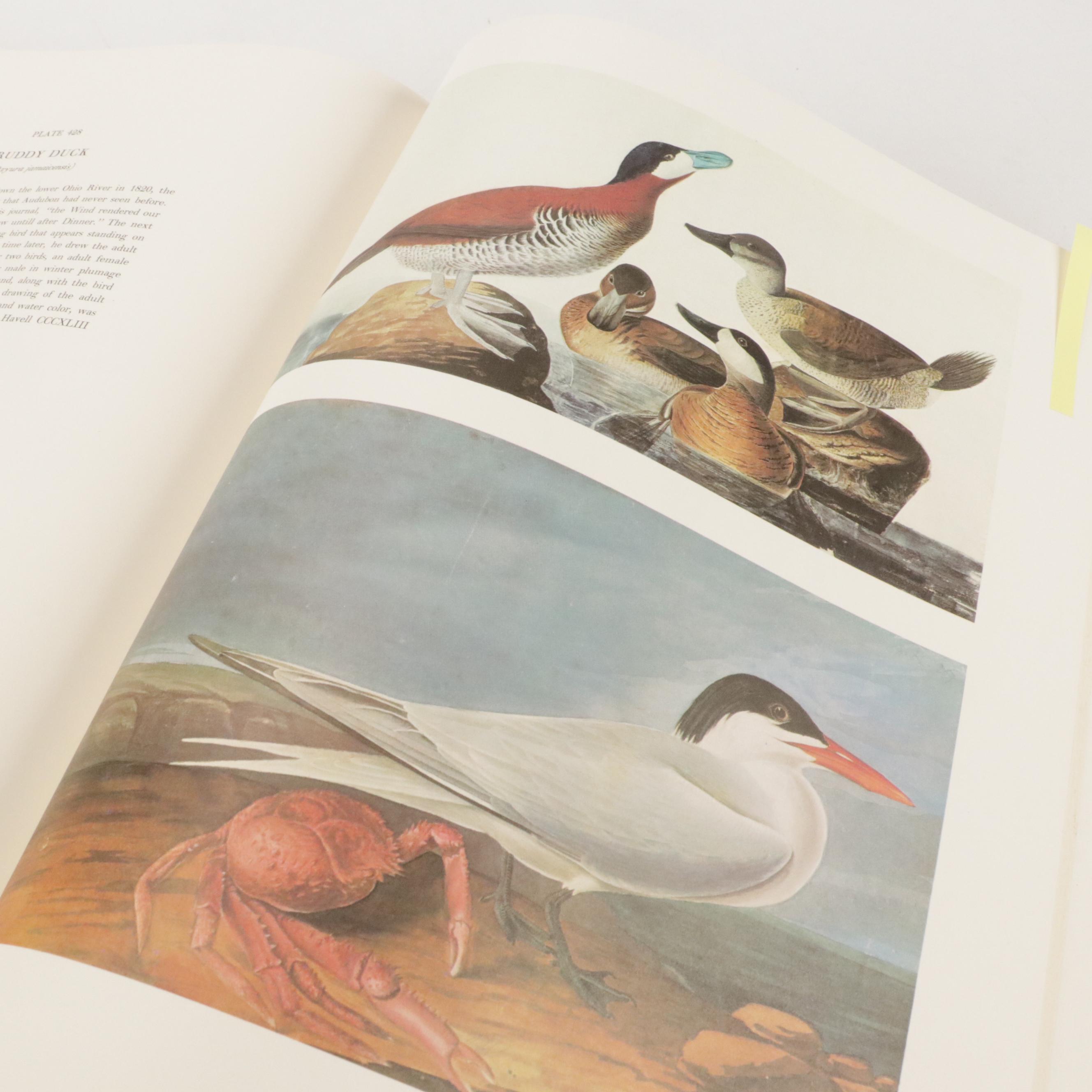 "The Original Water-Color Paintings for The Birds of America" by Audubon, 1966