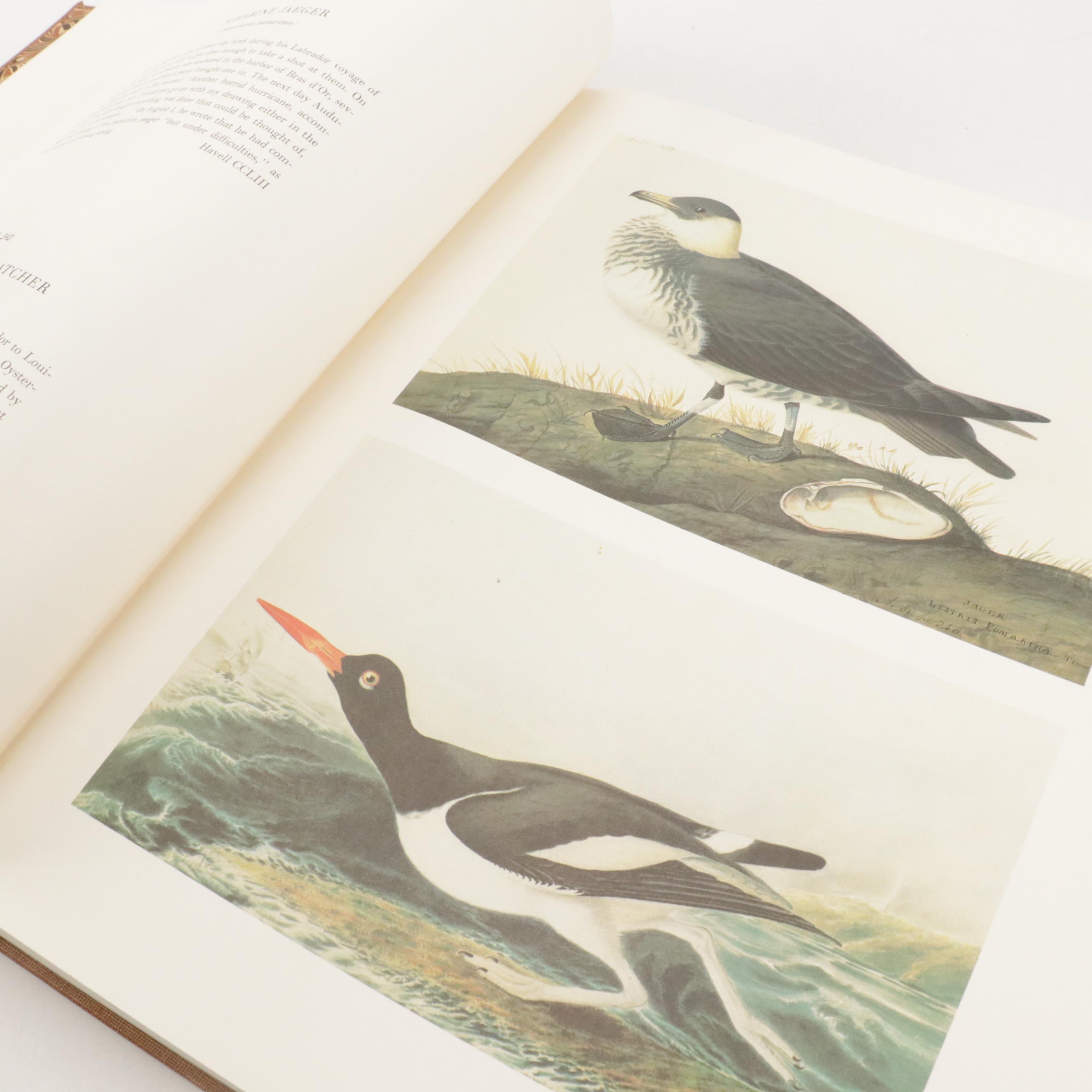 "The Original Water-Color Paintings for The Birds of America" by Audubon, 1966