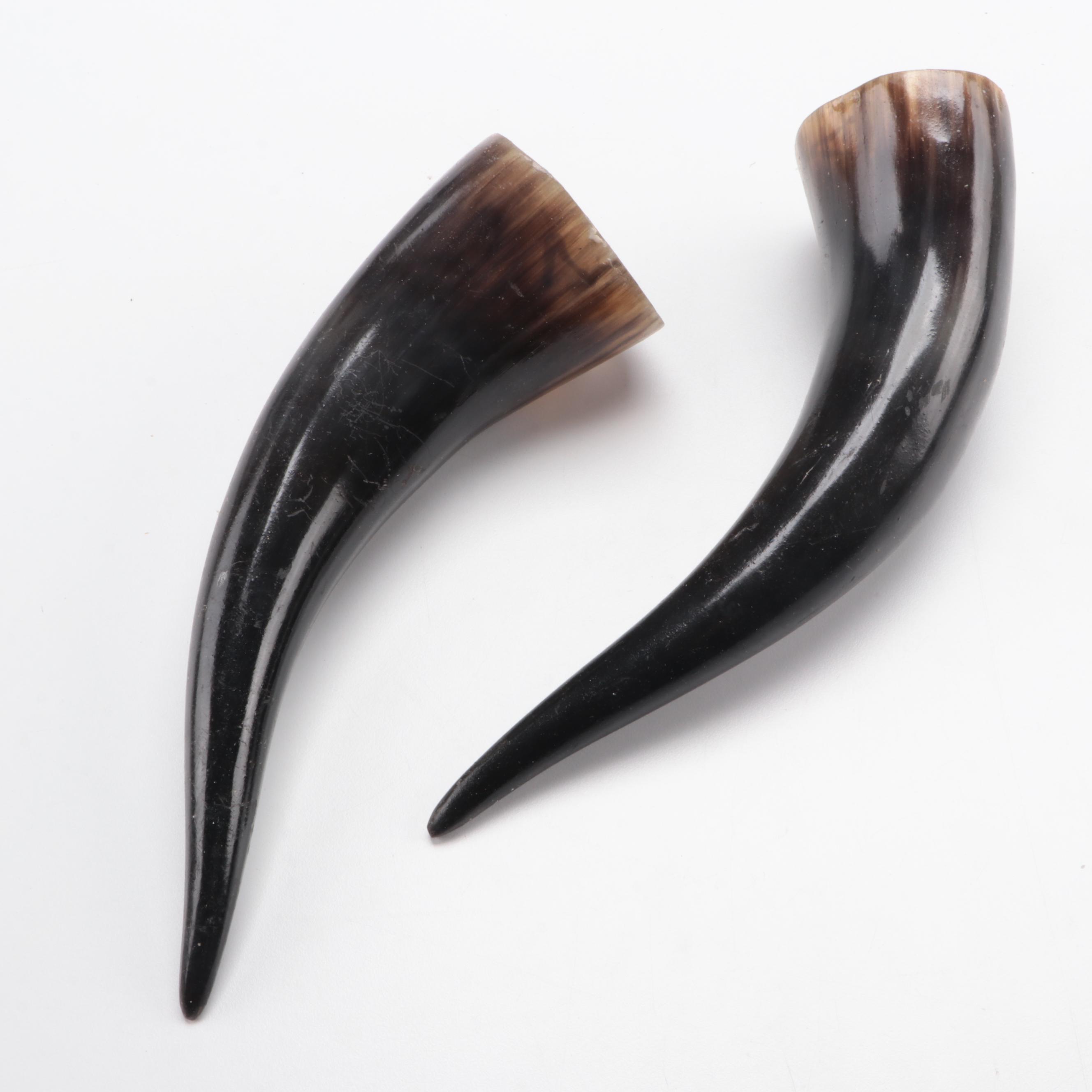 Hand-Carved and Dyed Cow Skull With Horns