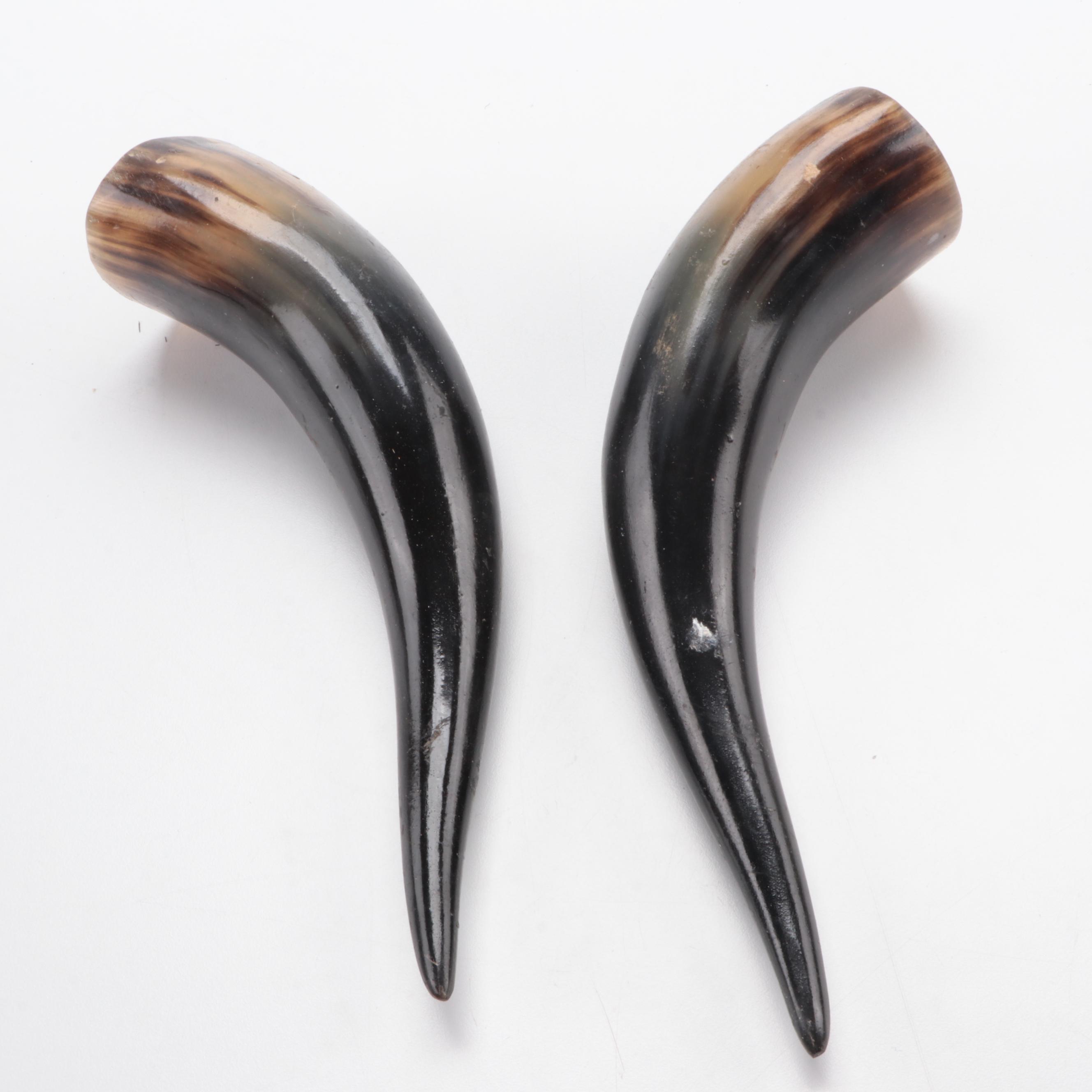 Hand-Carved and Dyed Cow Skull With Horns