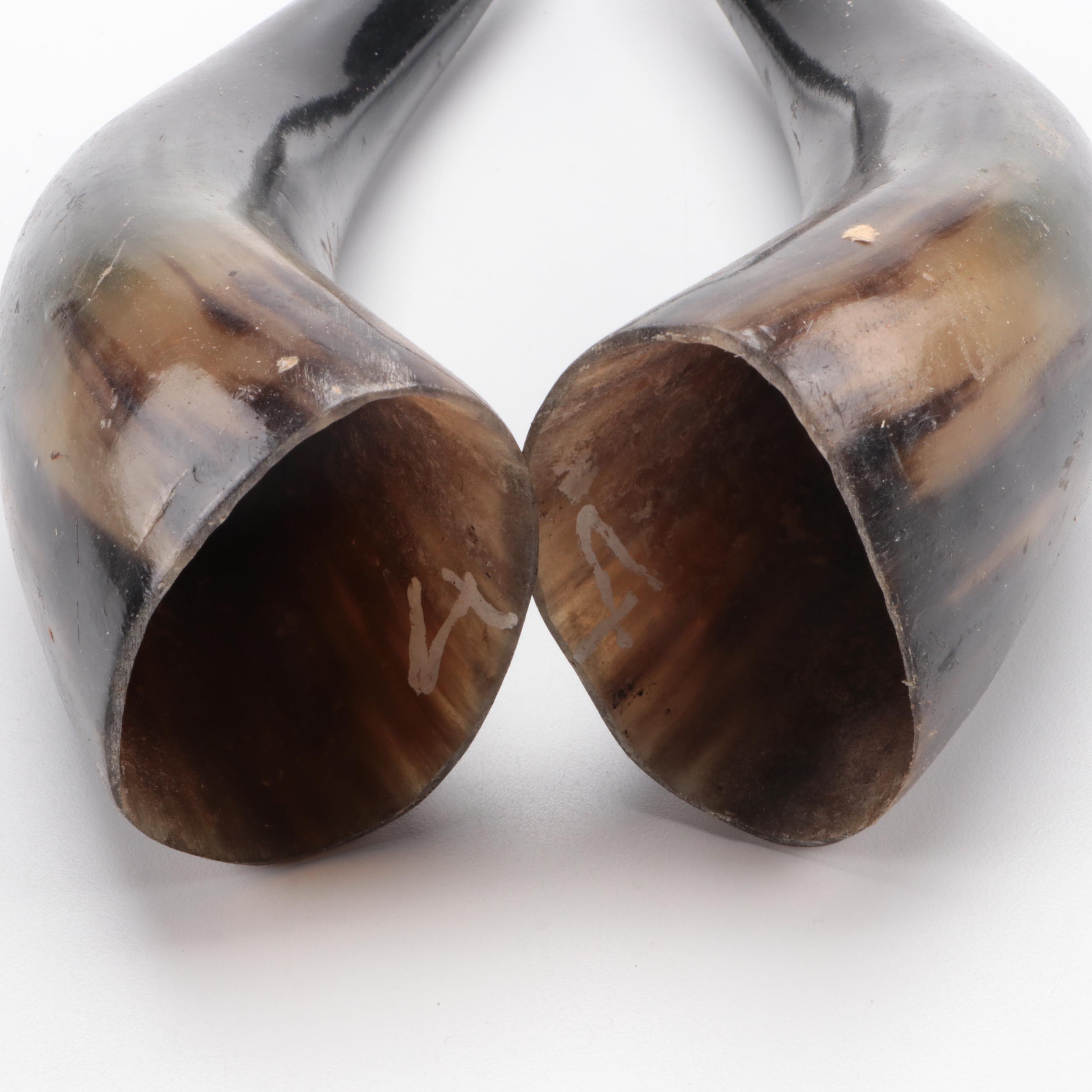 Hand-Carved and Dyed Cow Skull With Horns