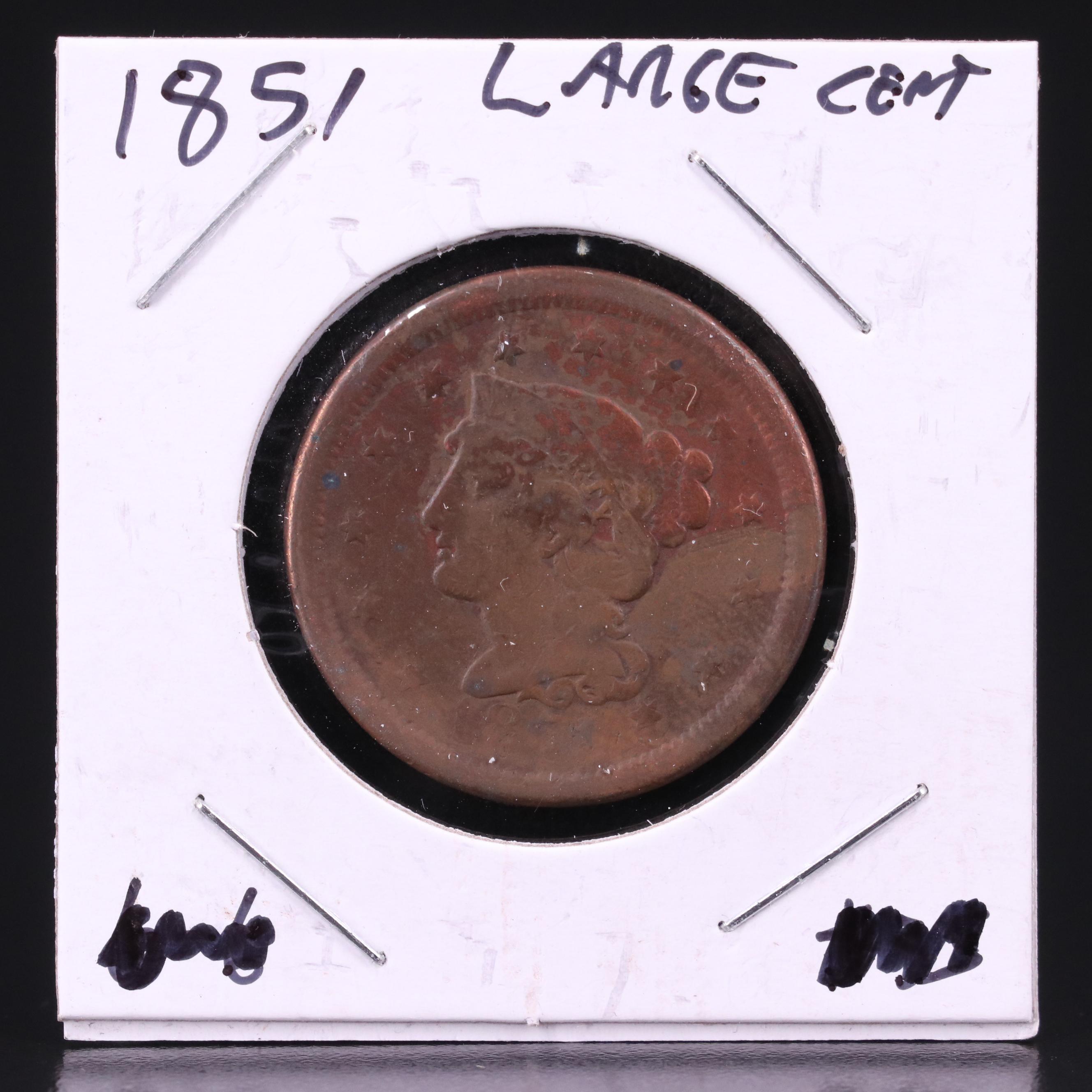 Eight Braided Hair Large Cents