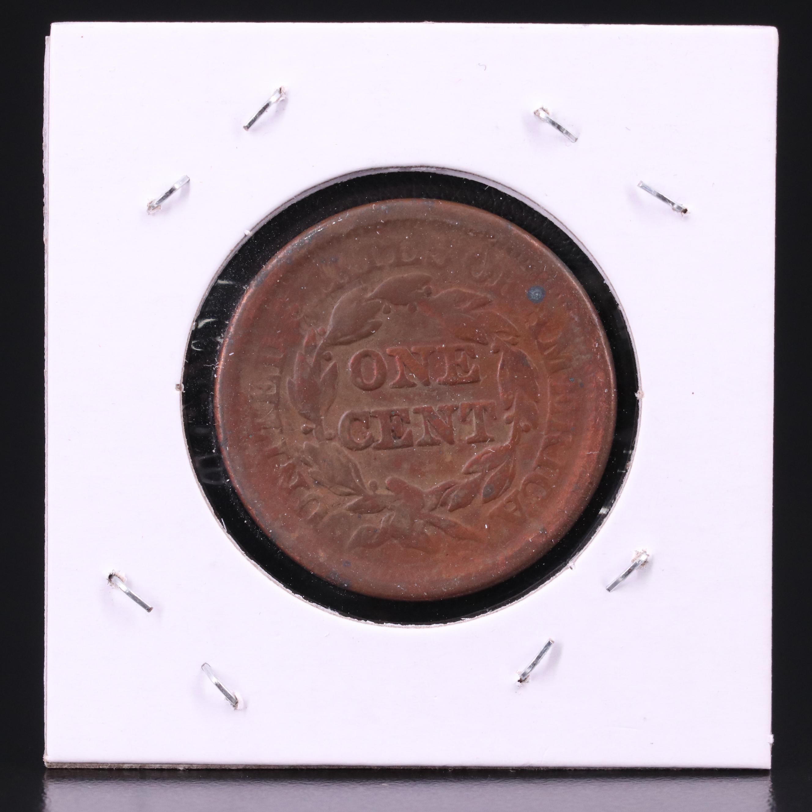 Eight Braided Hair Large Cents