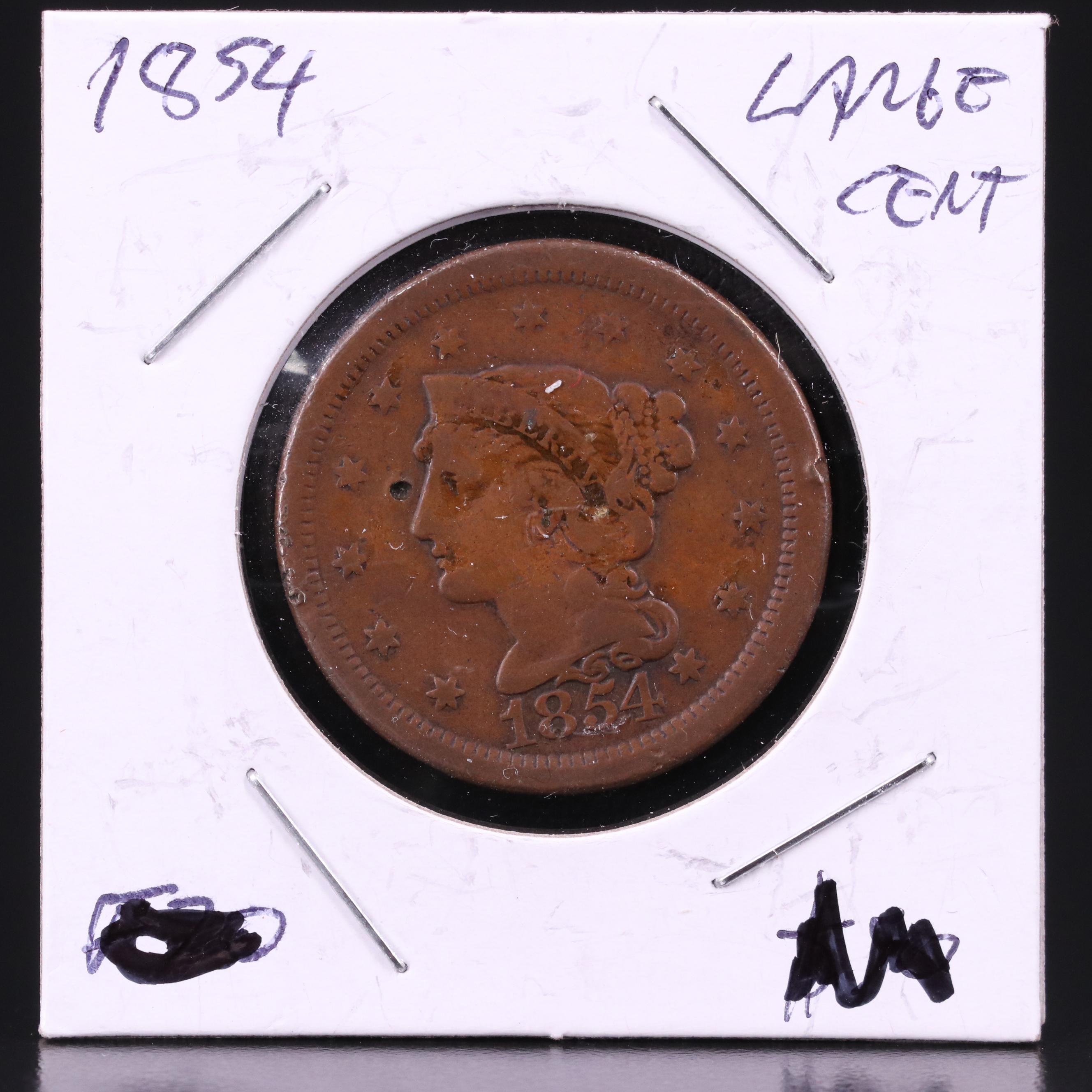 Eight Braided Hair Large Cents