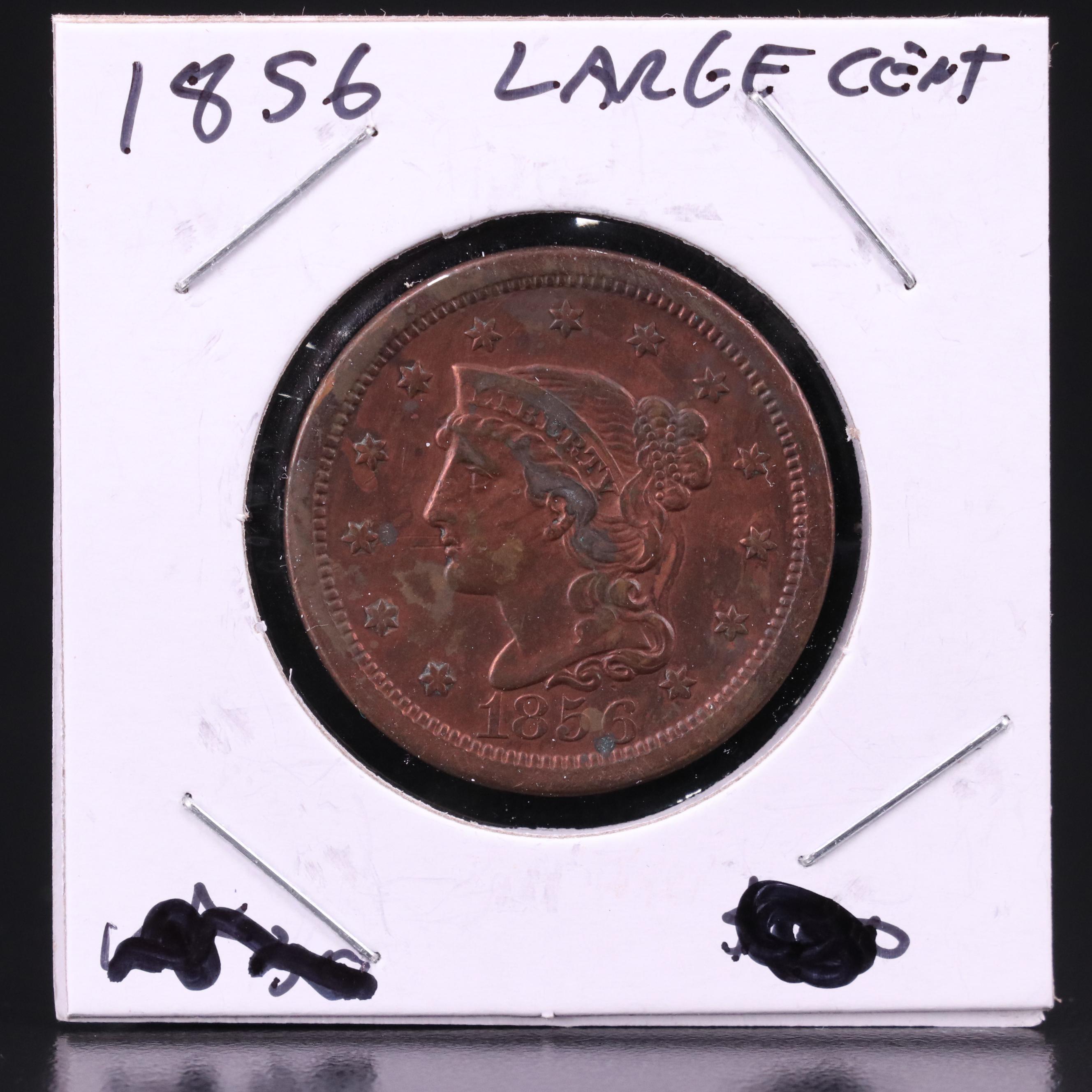 Eight Braided Hair Large Cents