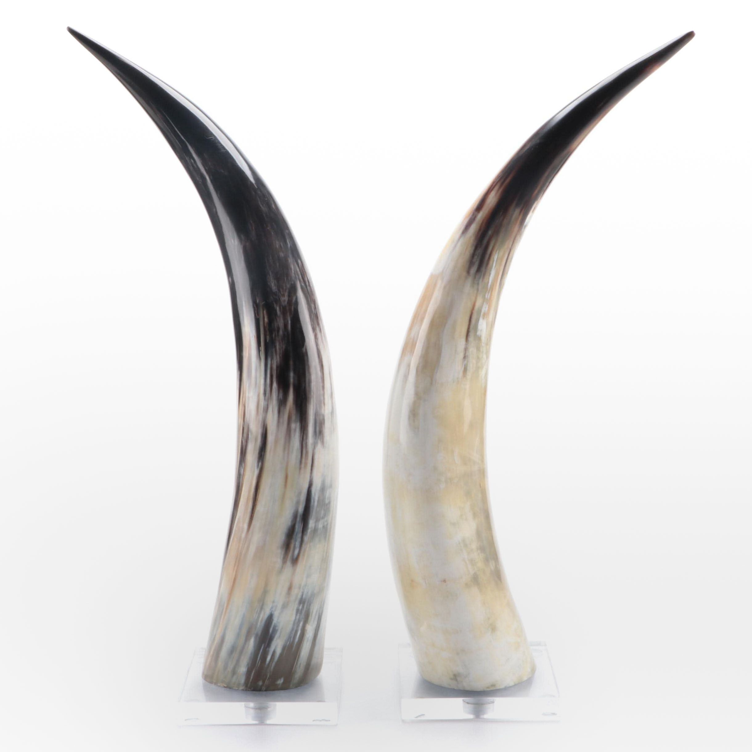 Horns Mounted on Acrylic Base