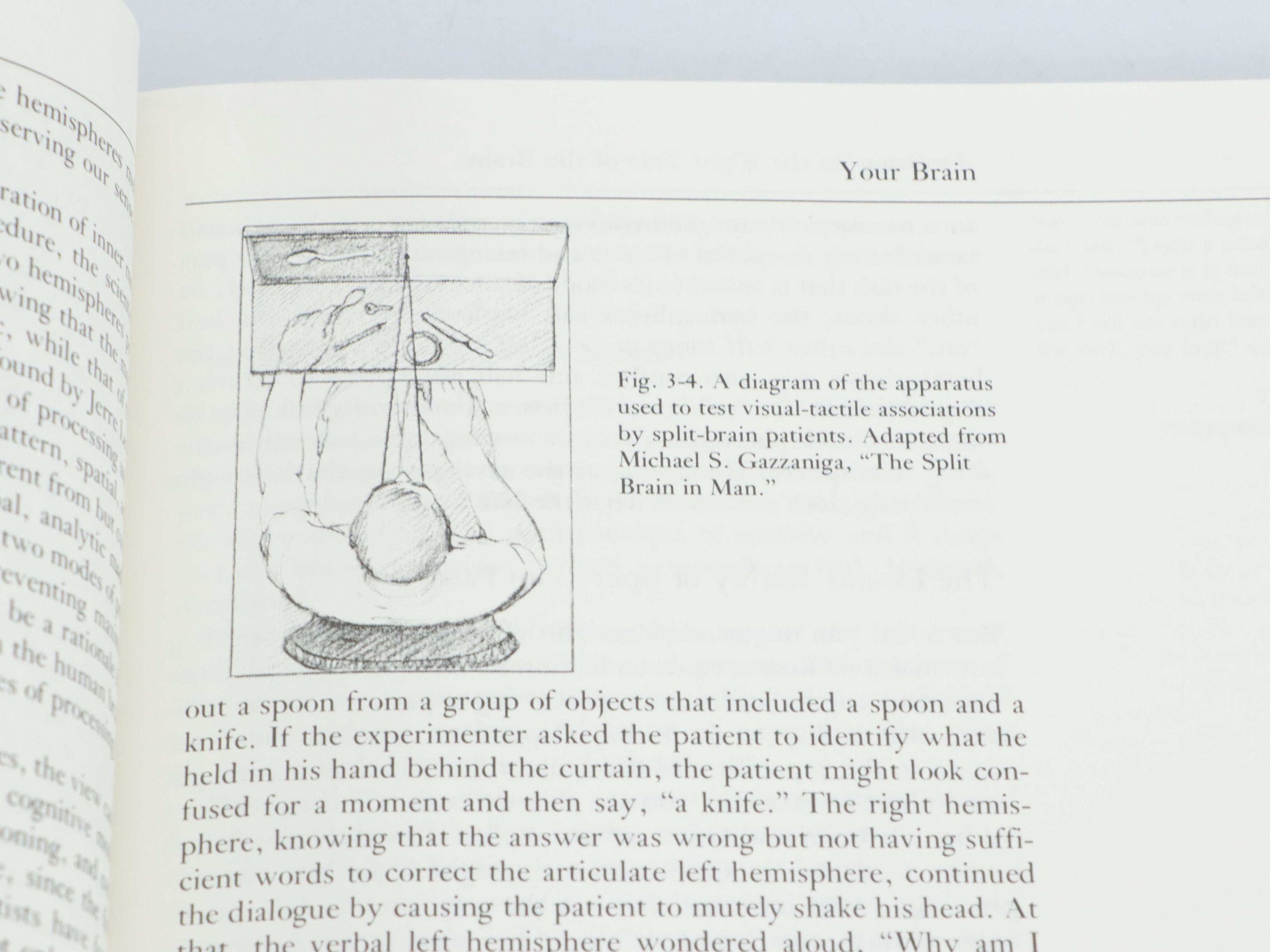 "Drawing on the Right Side of the Brain" by Betty Edwards with Colored Pencils