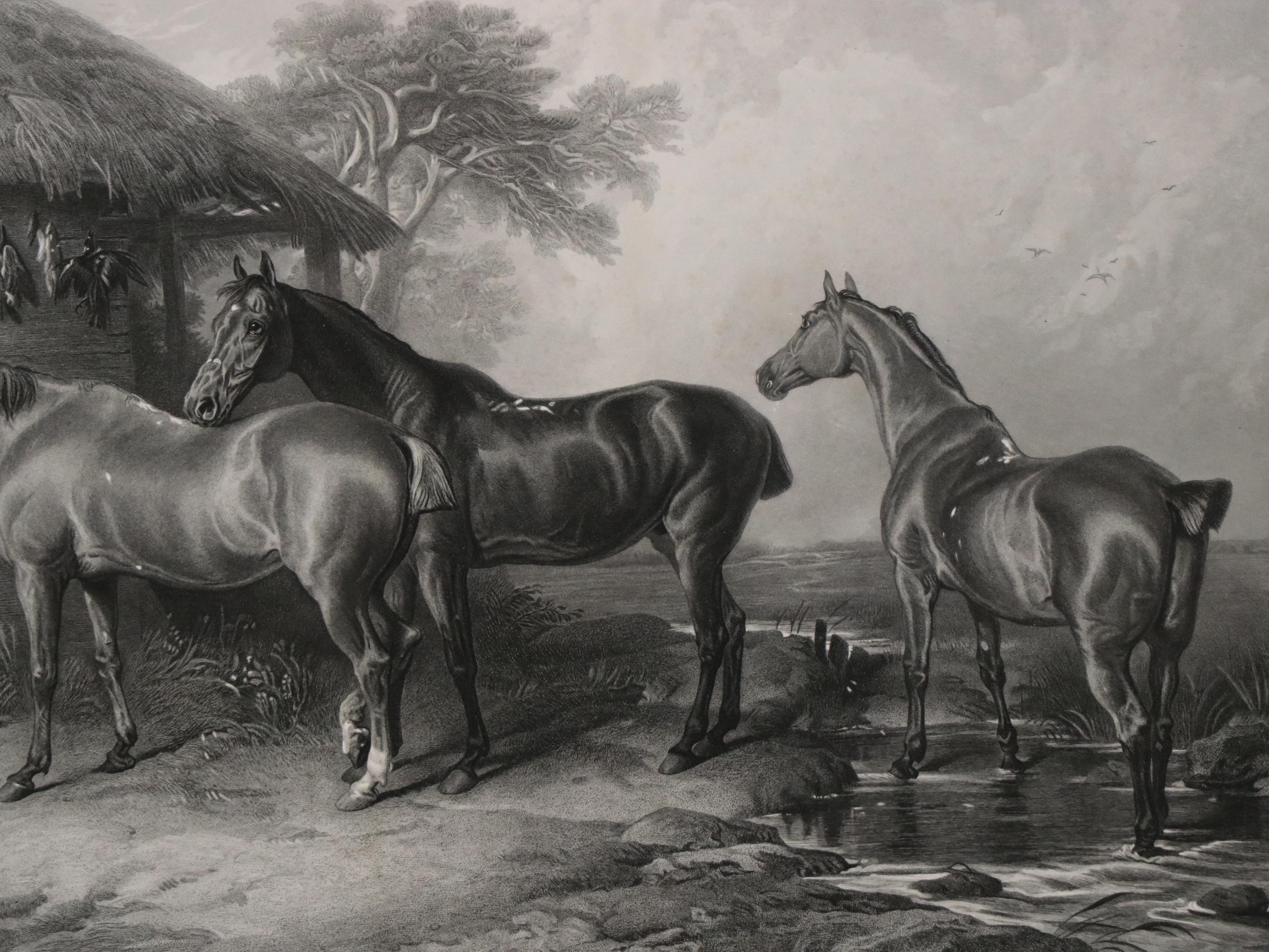 "Hunters at Grass" After Sir Edwin Landseer