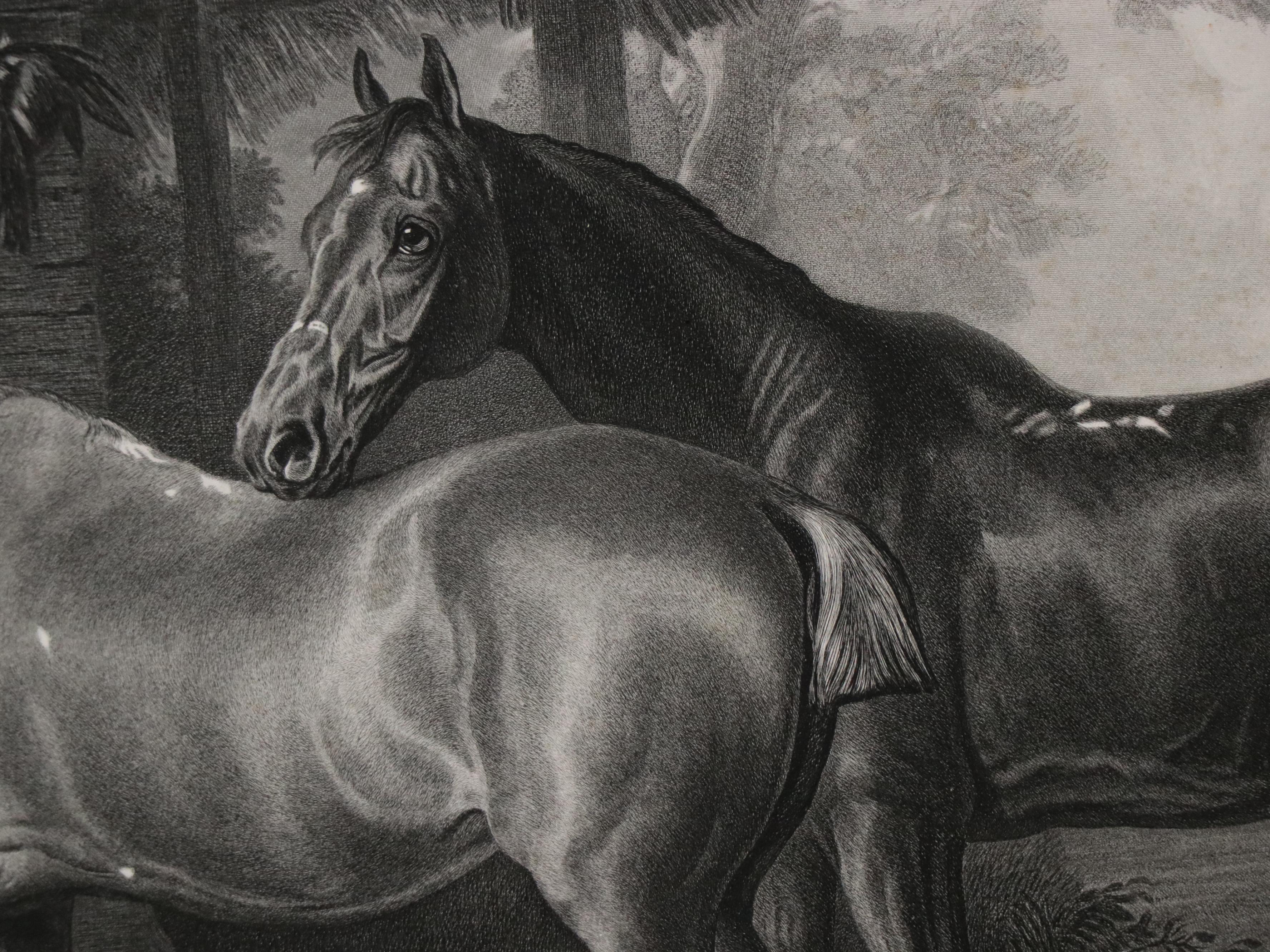 "Hunters at Grass" After Sir Edwin Landseer